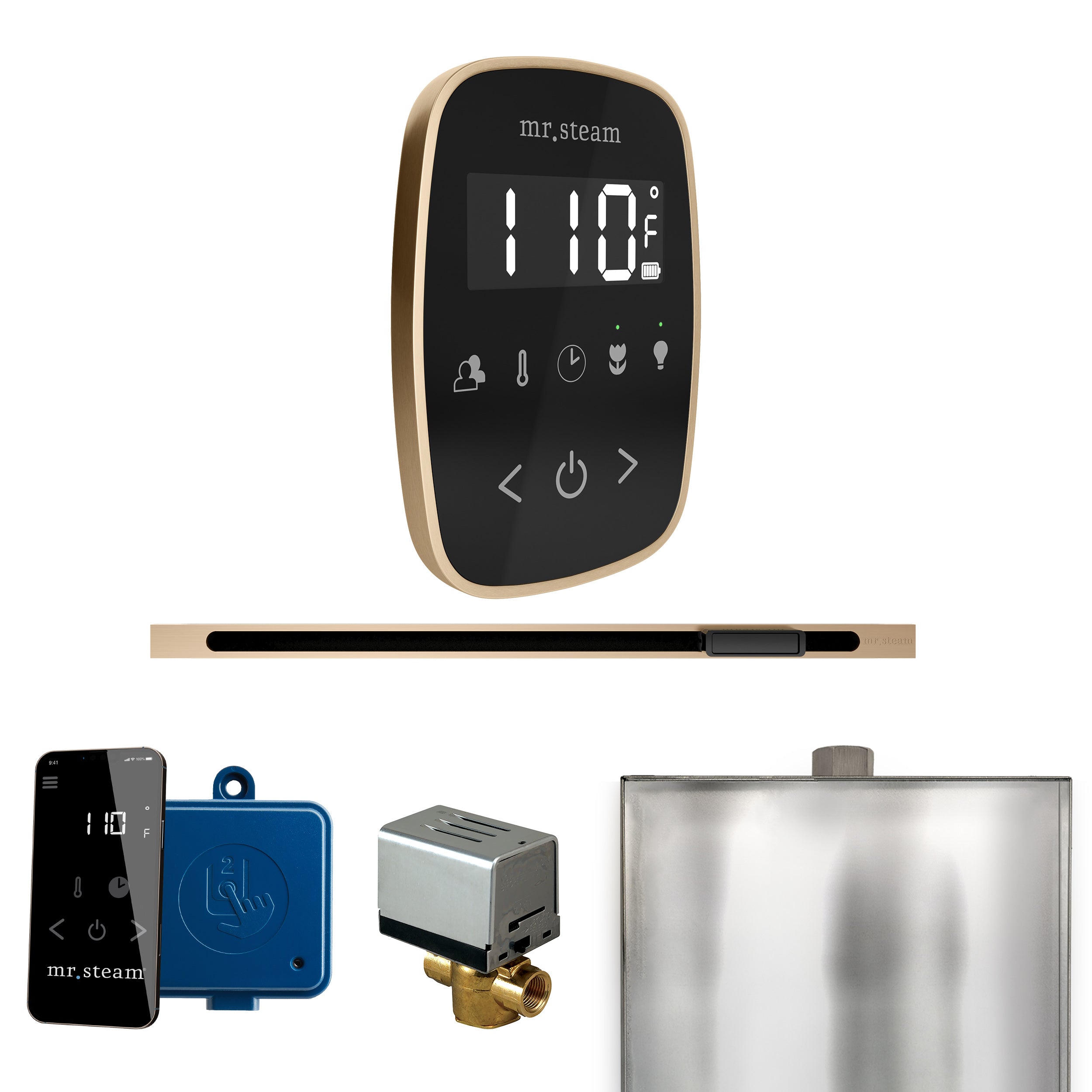 Mr Steam ButlerFlex Steam Shower Control Package with TempoFlex Control and Linear Steamhead