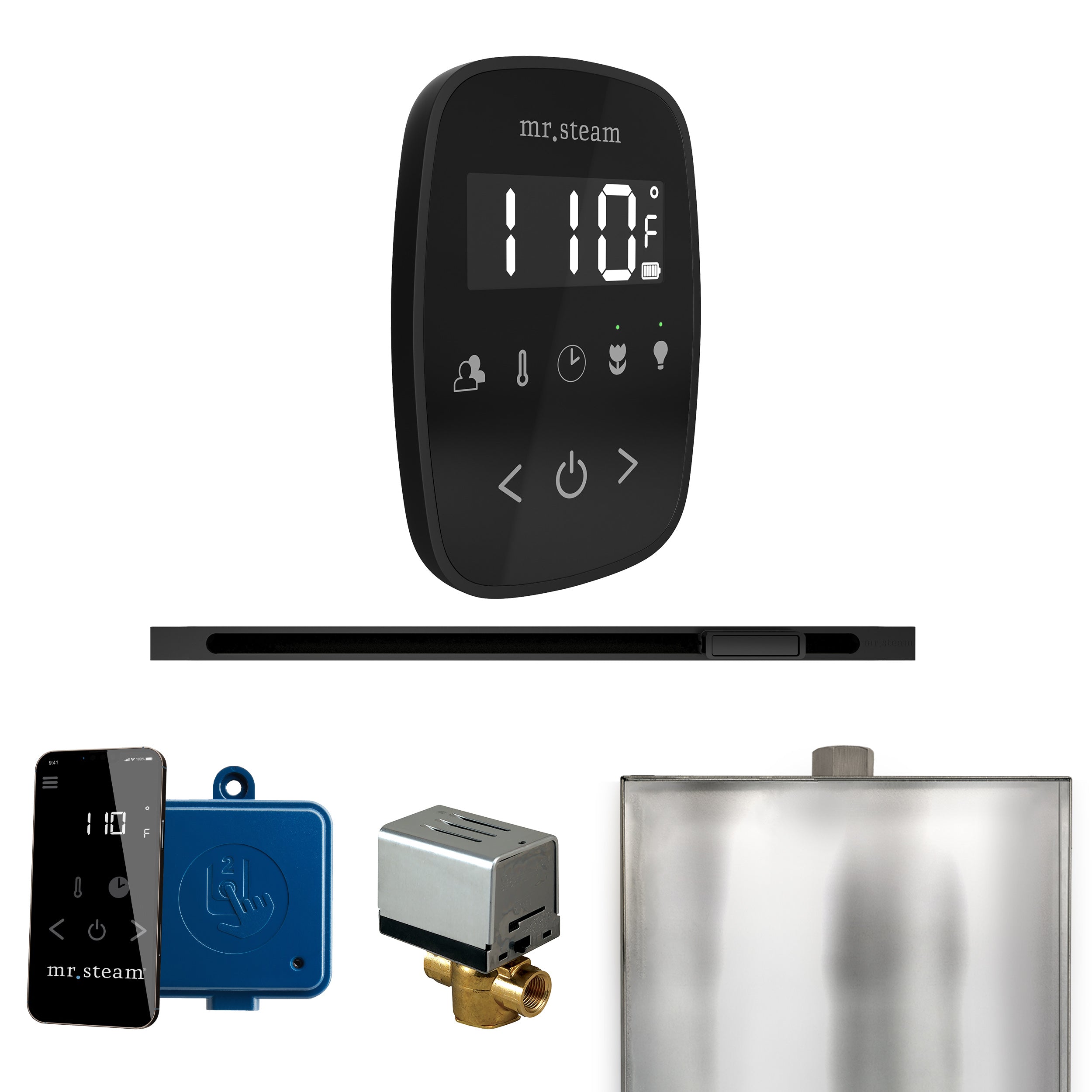 Mr Steam ButlerFlex Steam Shower Control Package with TempoFlex Control and Linear Steamhead
