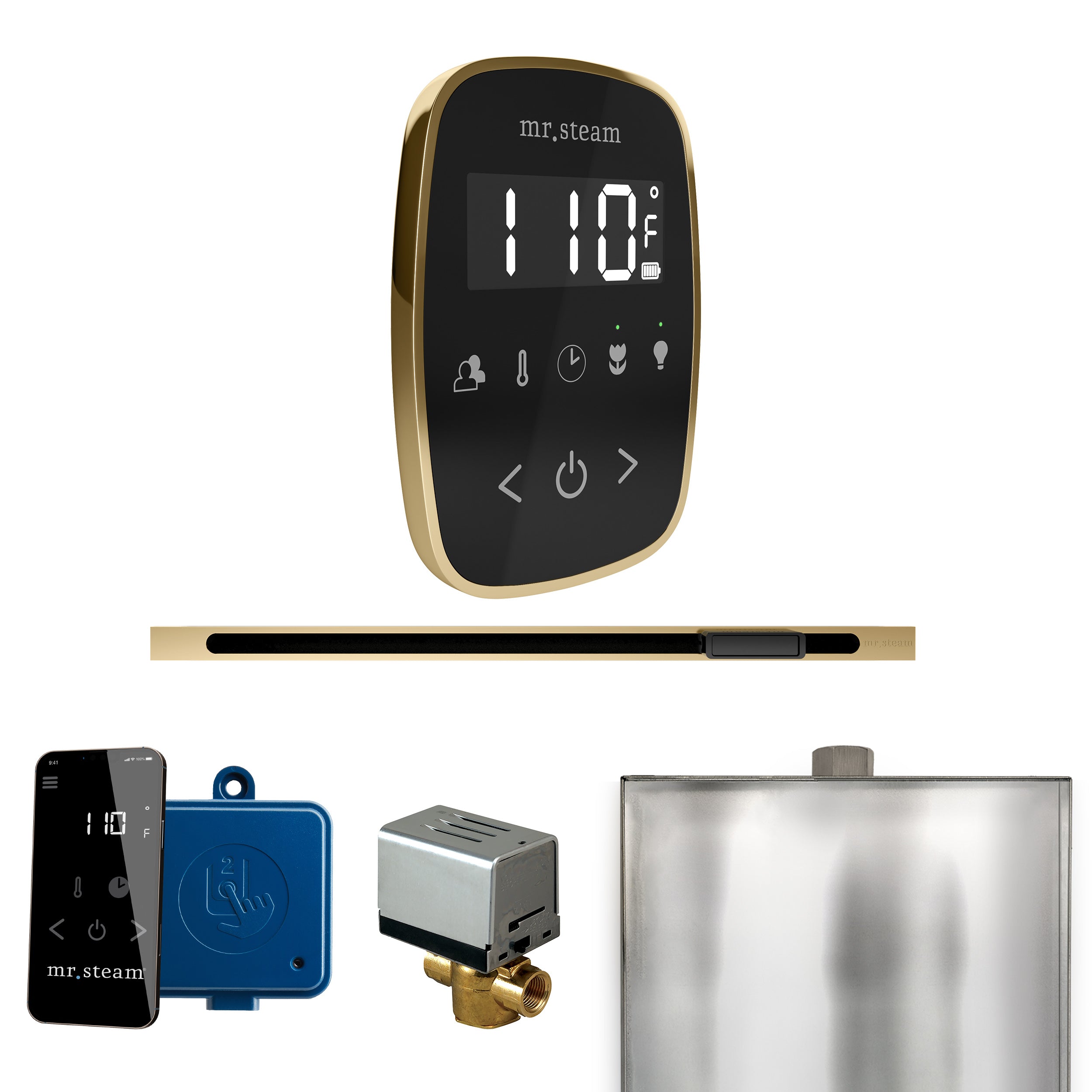 Mr Steam ButlerFlex Steam Shower Control Package with TempoFlex Control and Linear Steamhead