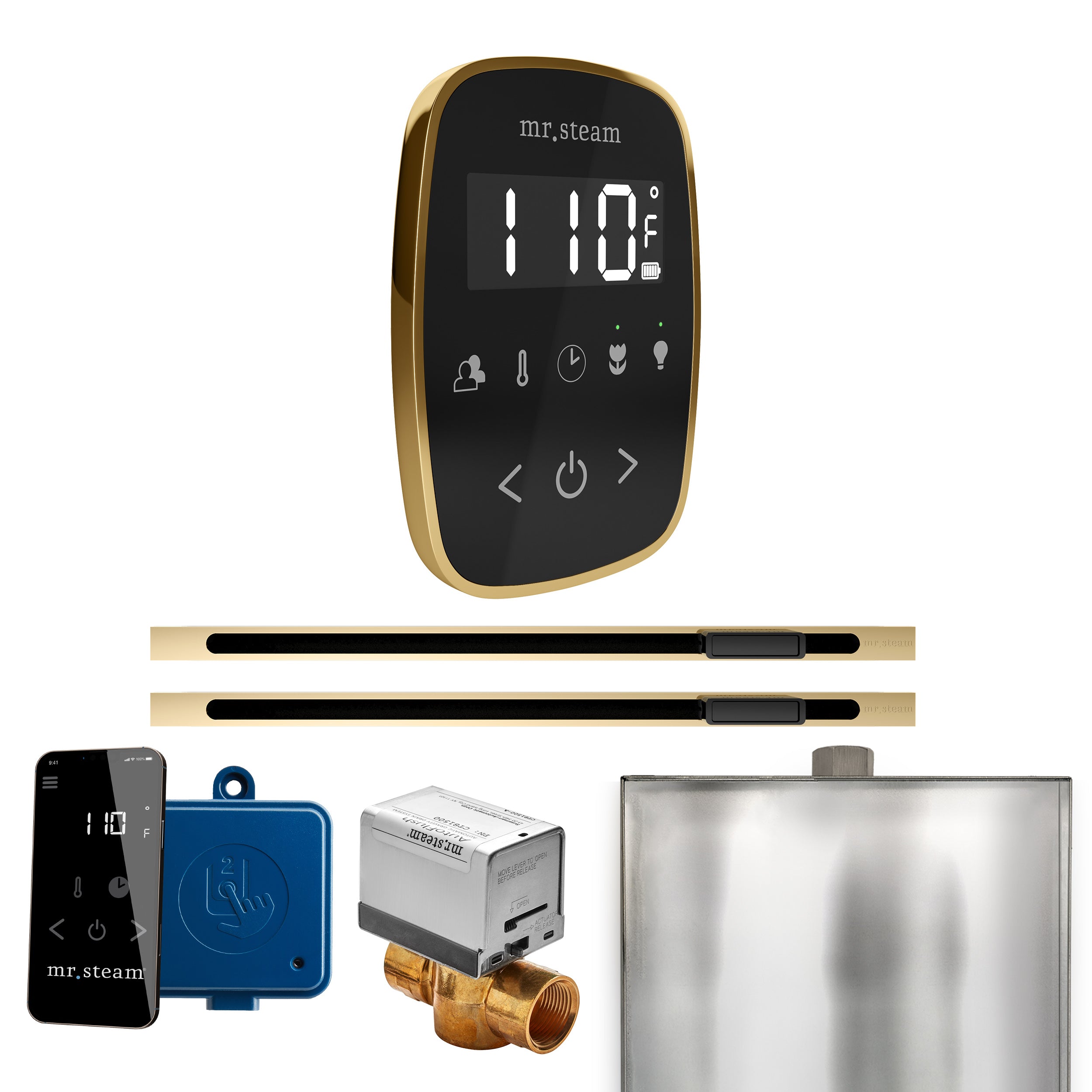 Mr Steam ButlerFlex Max Steam Shower Control Package with TempoFlex Control and Linear Steamhead