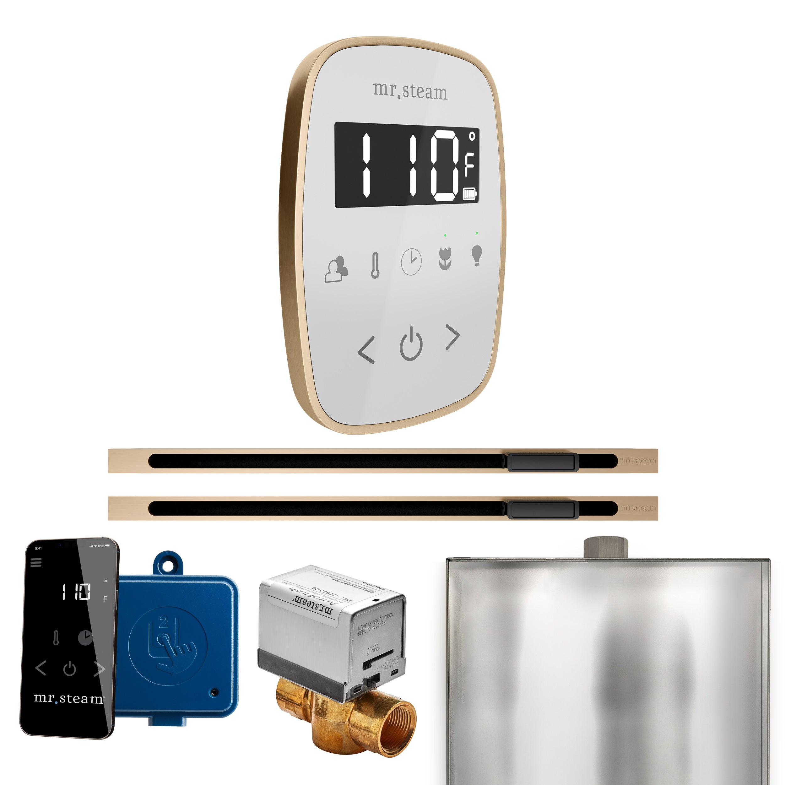 Mr Steam ButlerFlex Max Steam Shower Control Package with TempoFlex Control and Linear Steamhead
