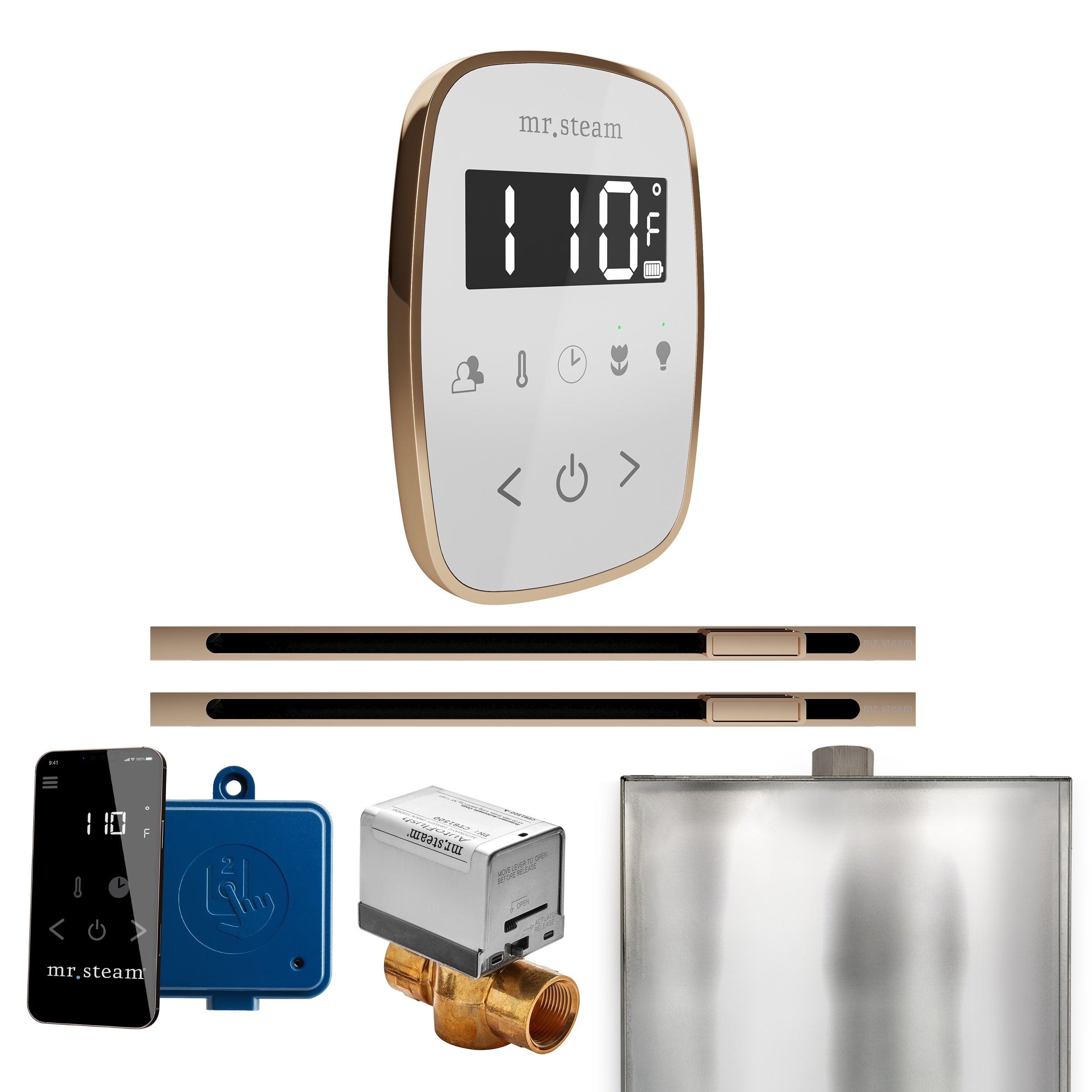 Mr Steam ButlerFlex Max Steam Shower Control Package with TempoFlex Control and Linear Steamhead