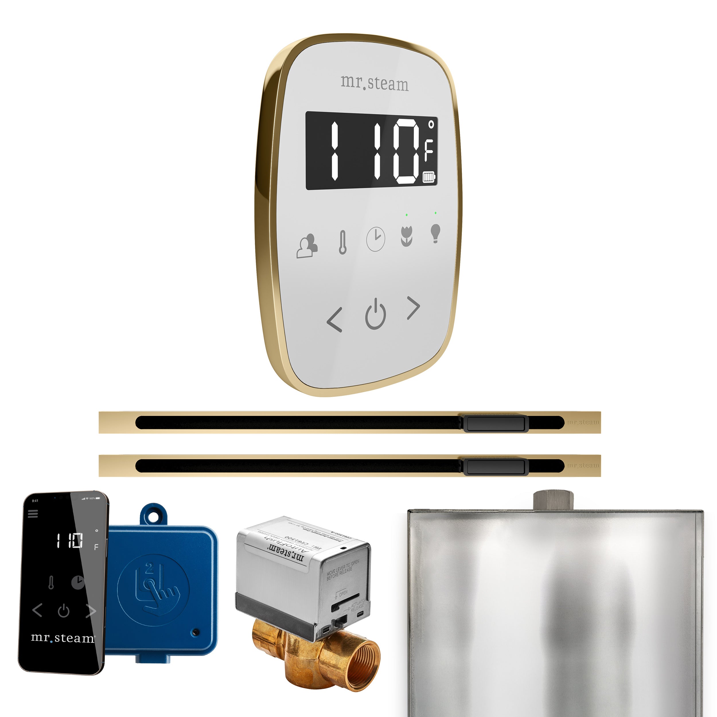 Mr Steam ButlerFlex Max Steam Shower Control Package with TempoFlex Control and Linear Steamhead