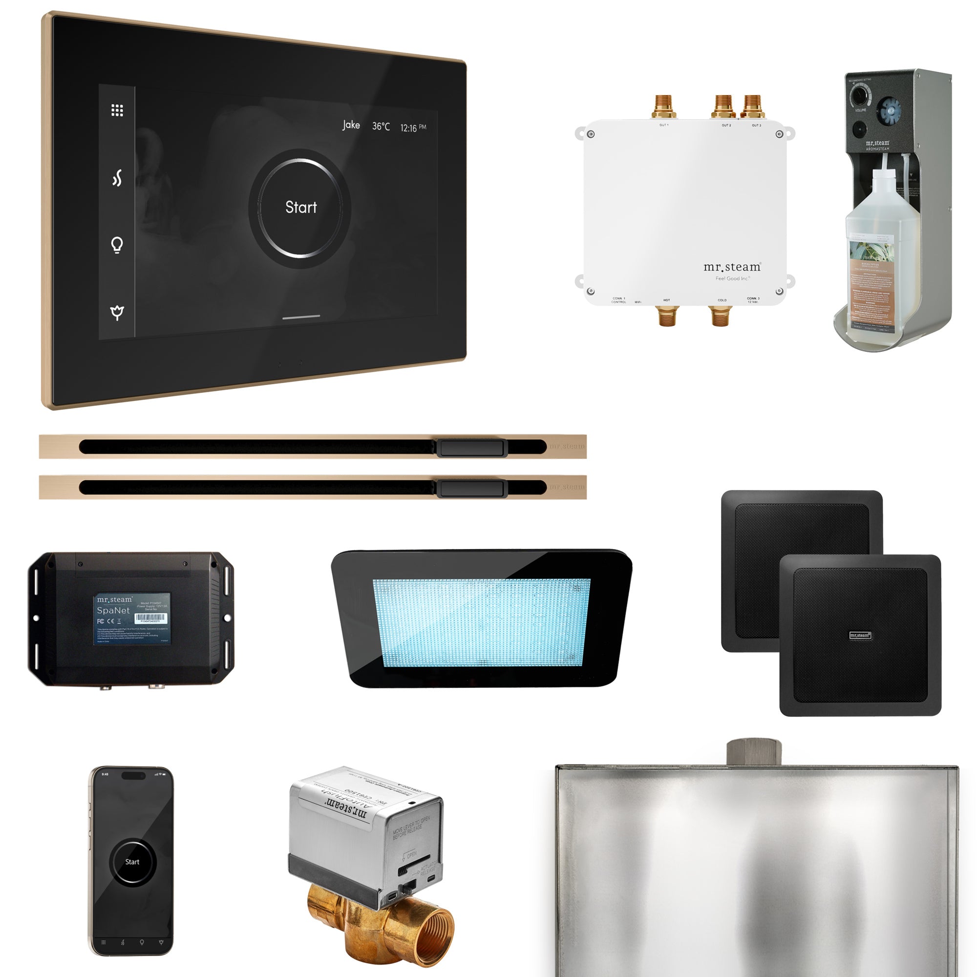 Mr Steam Bliss Max Steam Shower Control Package with iSteamX Control and Linear Steamhead
