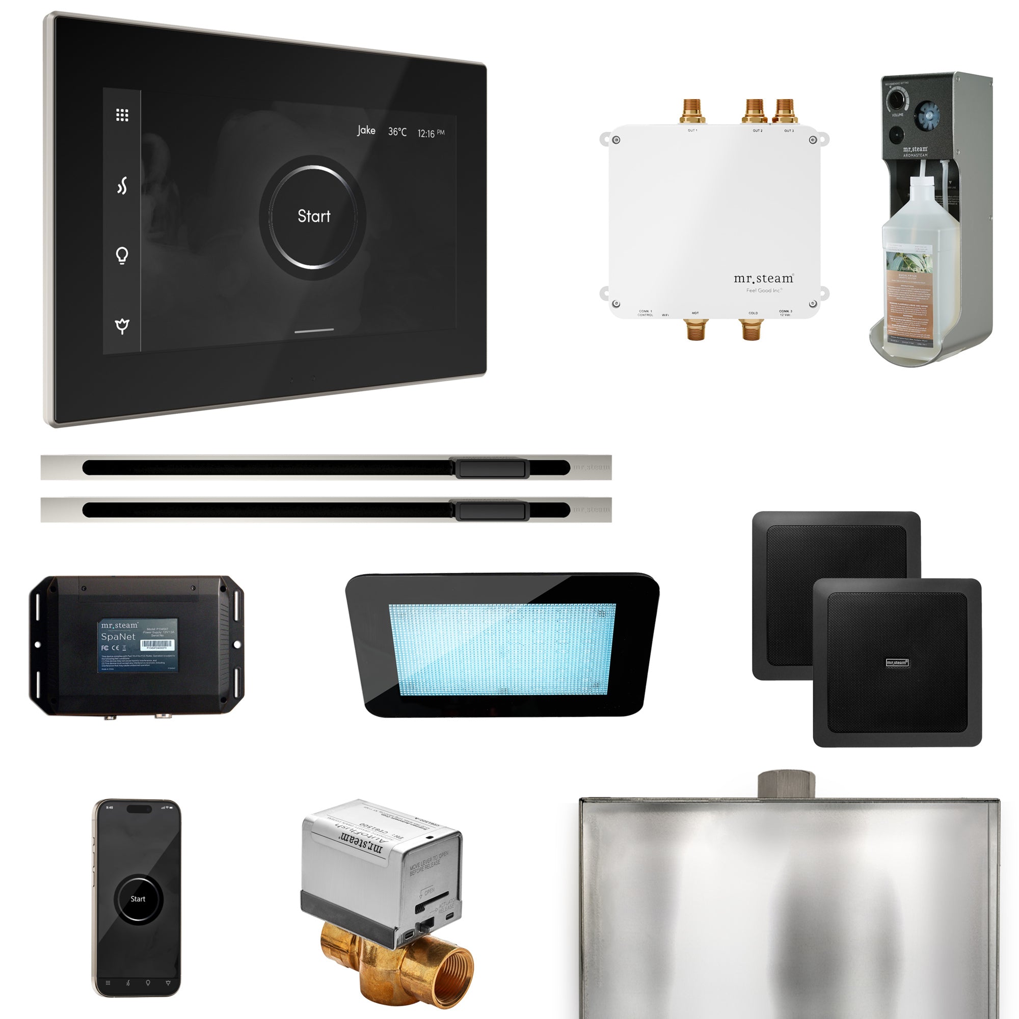 Mr Steam Bliss Max Steam Shower Control Package with iSteamX Control and Linear Steamhead