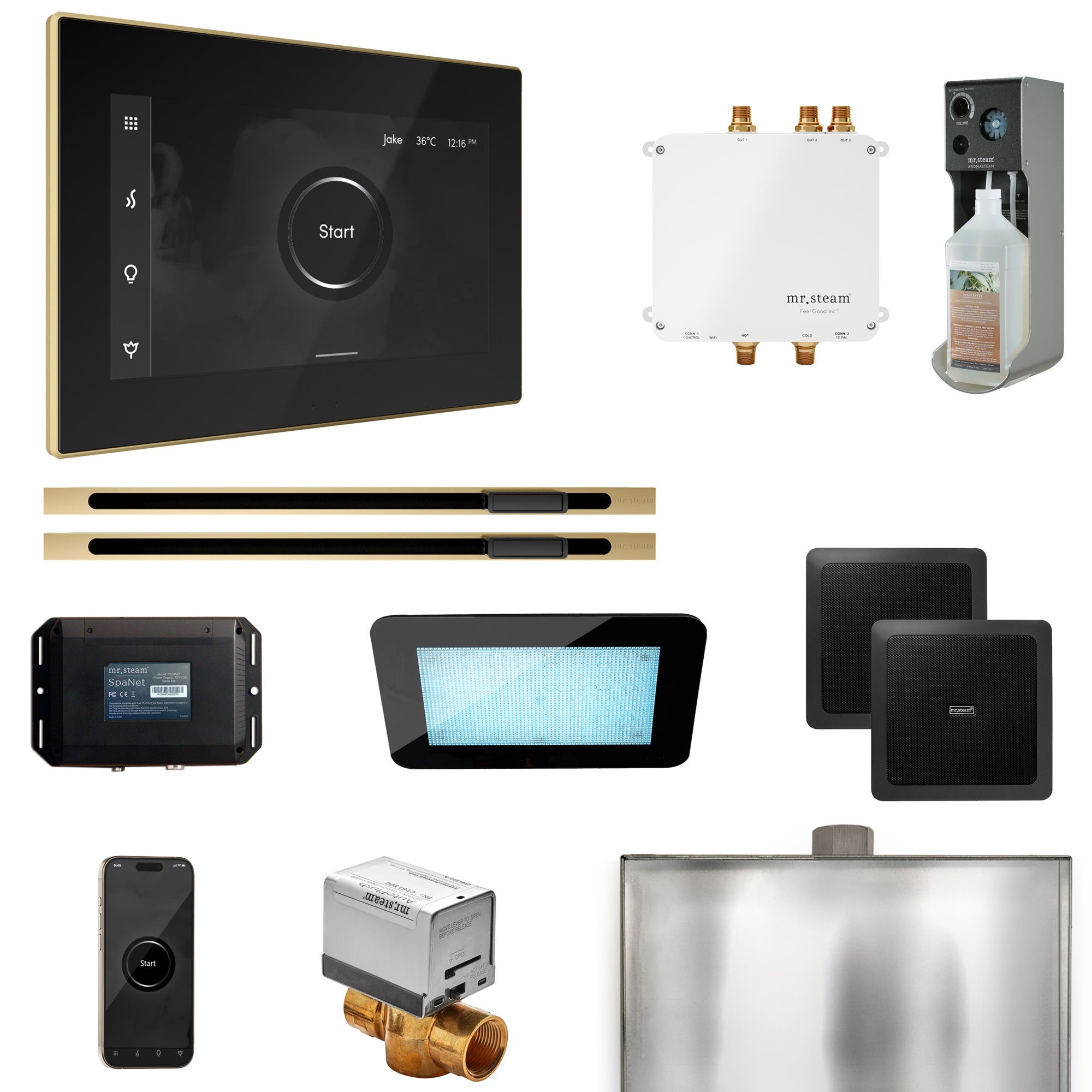 Mr Steam Bliss Max Steam Shower Control Package with iSteamX Control and Linear Steamhead