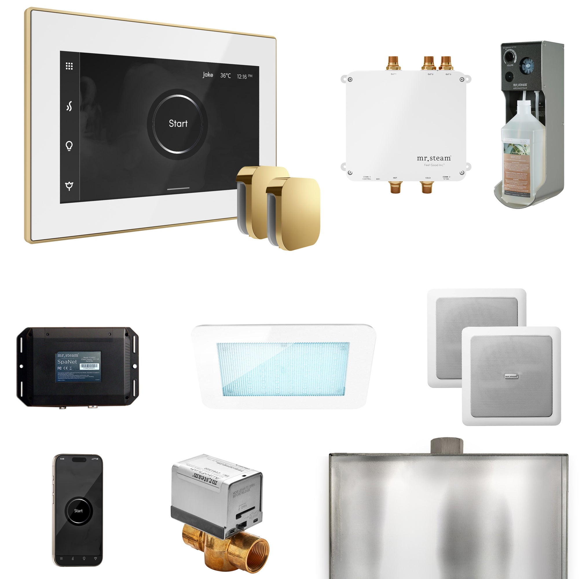 Mr Steam Bliss Max Steam Shower Control Package with iSteamX Control and Steamhead