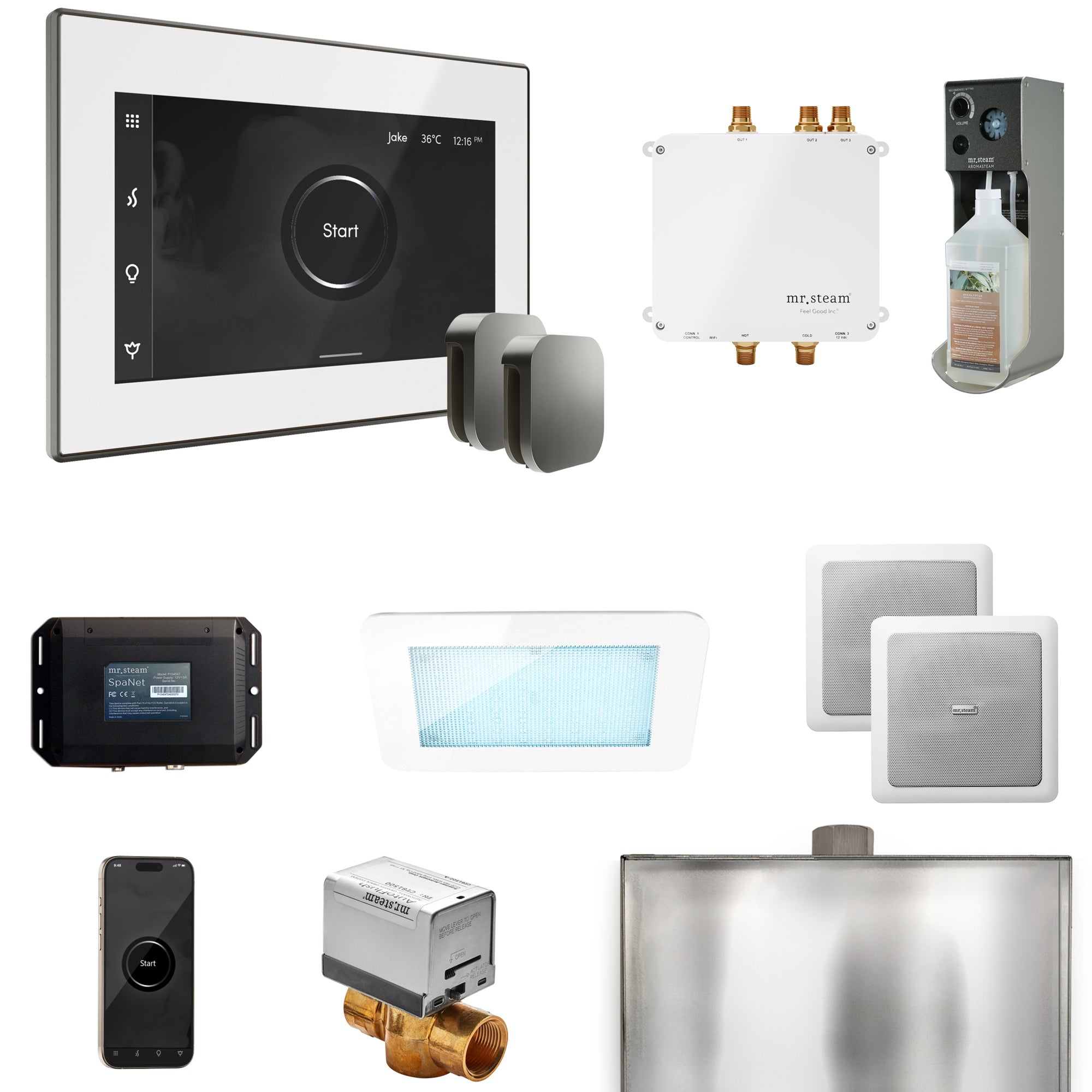 Mr Steam Bliss Max Steam Shower Control Package with iSteamX Control and Steamhead