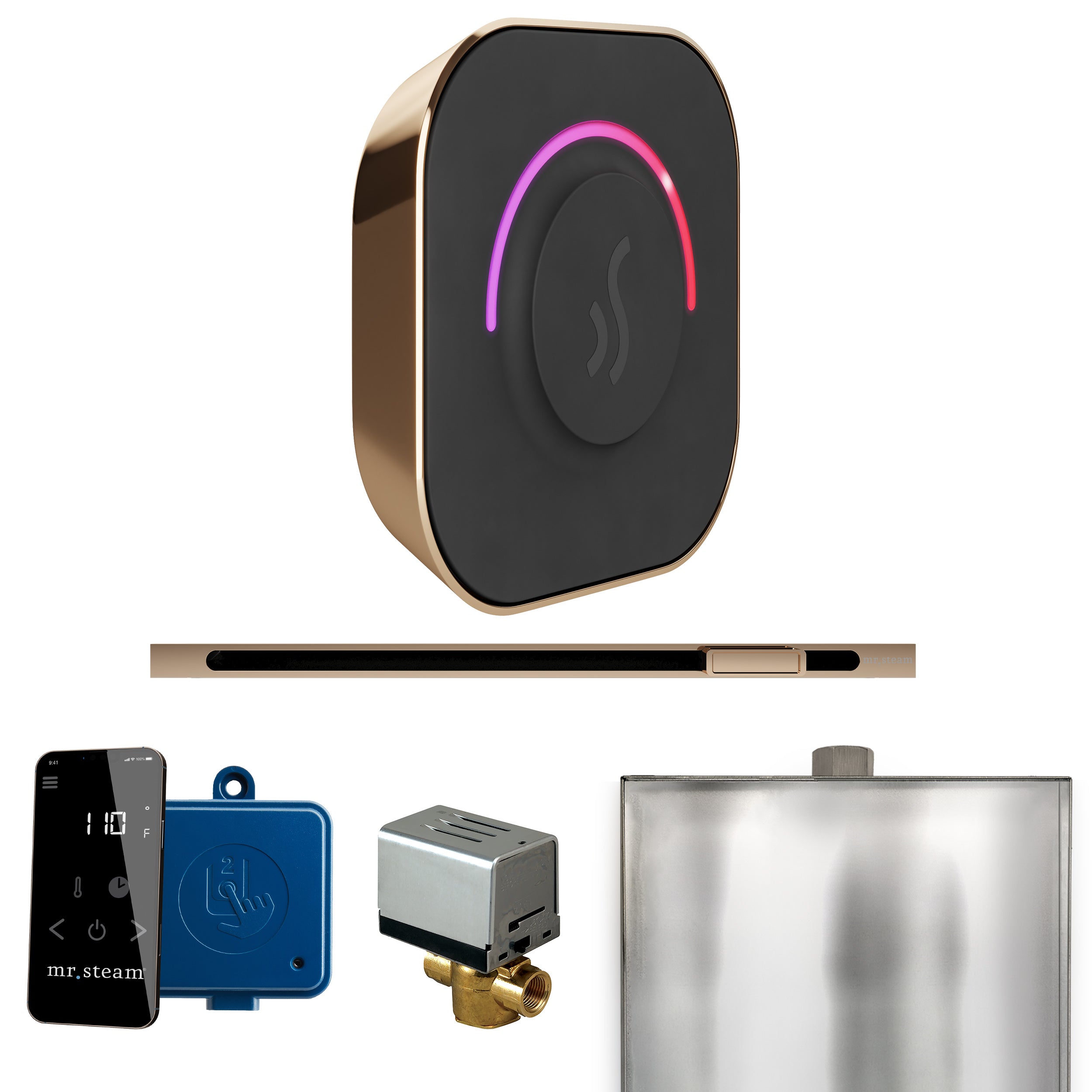 Mr Steam ButlerTouch Steam Shower Control Package with TempoTouch Control and Linear Steamhead