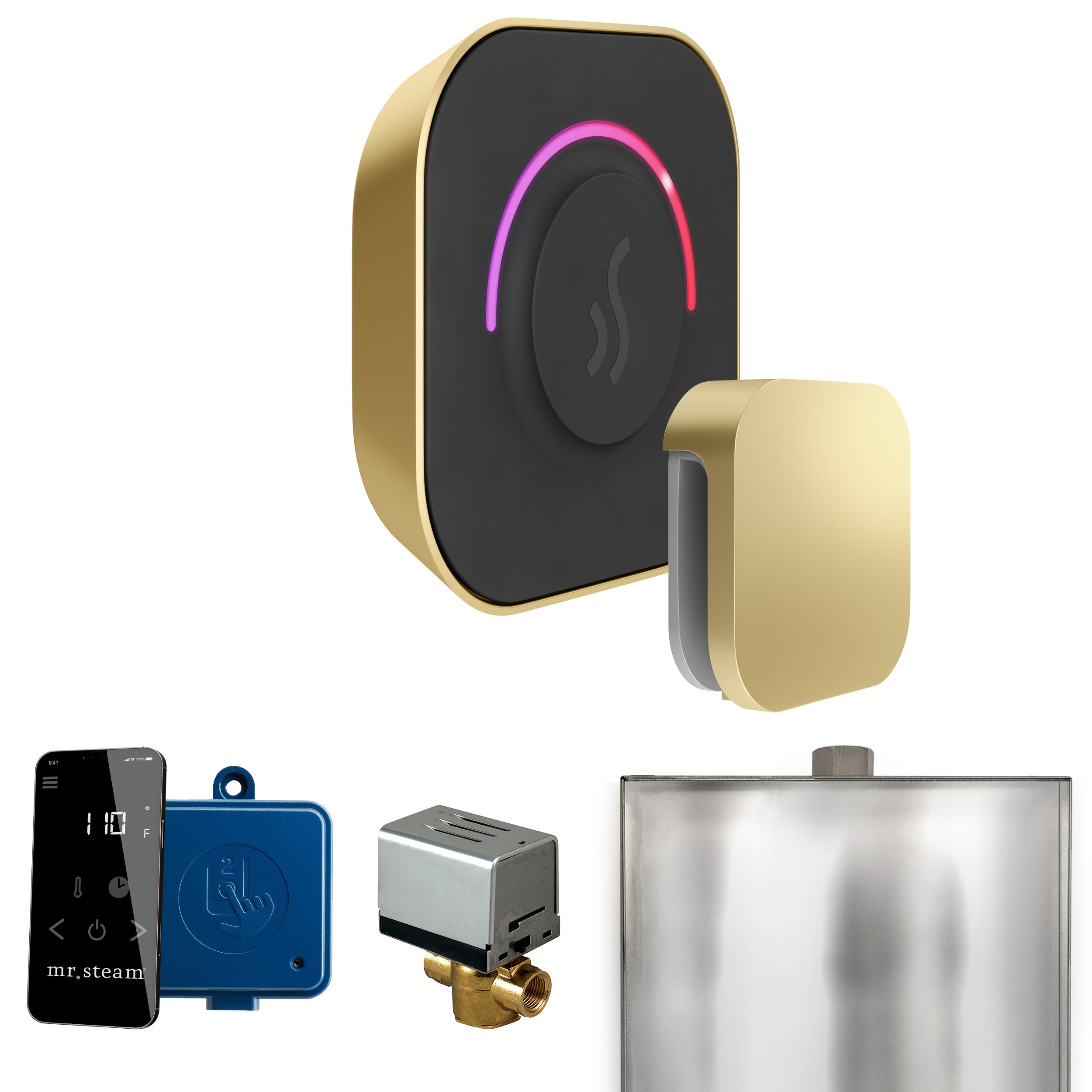 Mr Steam ButlerTouch Steam Shower Control Package with TempoTouch Control and Steamhead
