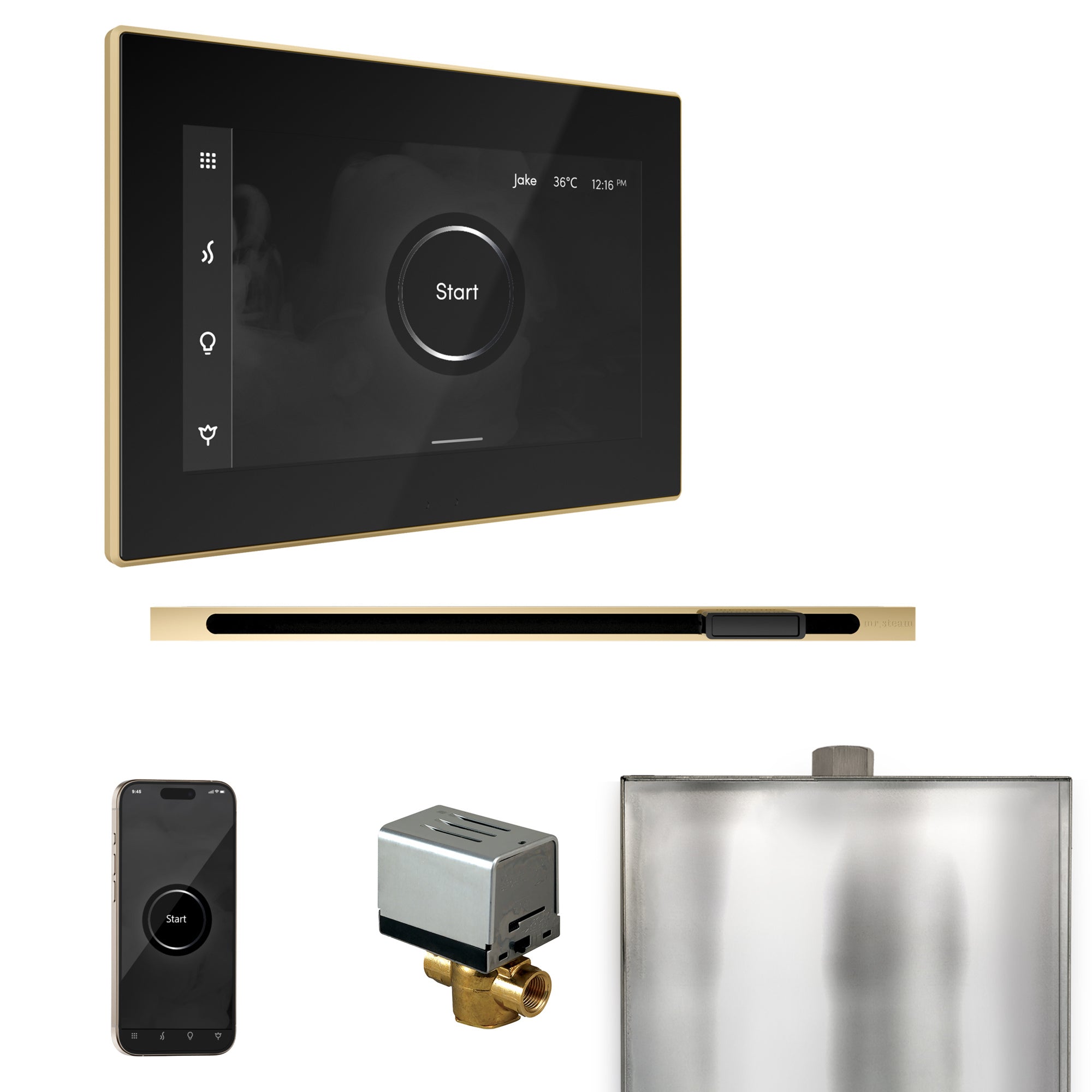 Mr Steam XButler Steam Shower Control Package with iSteamX Control and Linear Steamhead