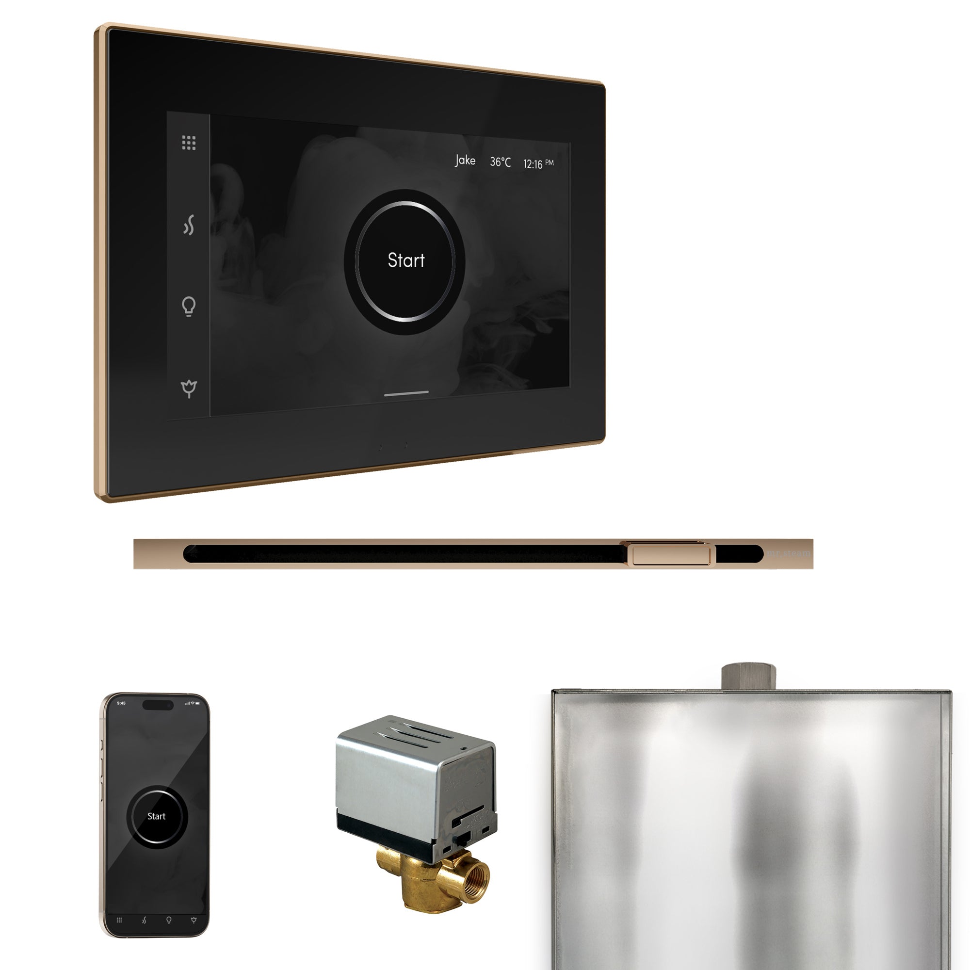 Mr Steam XButler Steam Shower Control Package with iSteamX Control and Linear Steamhead
