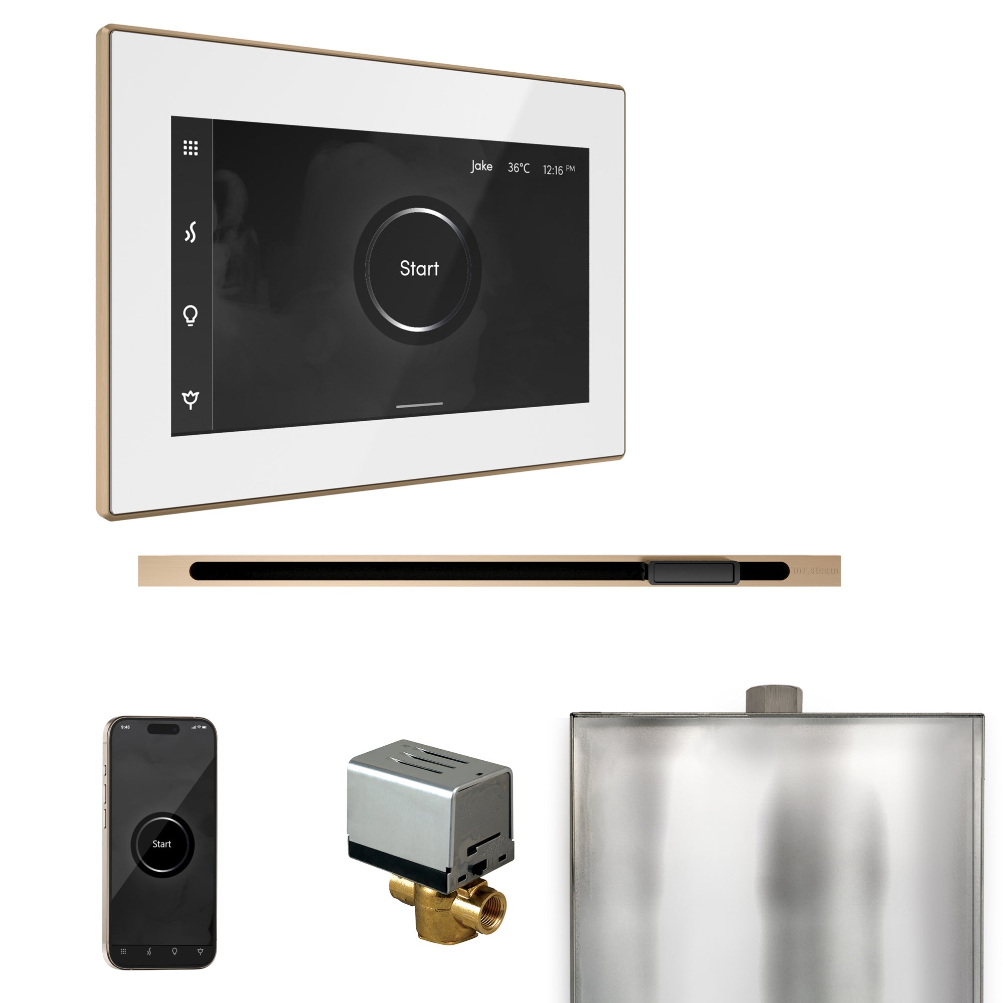 Mr Steam XButler Steam Shower Control Package with iSteamX Control and Linear Steamhead