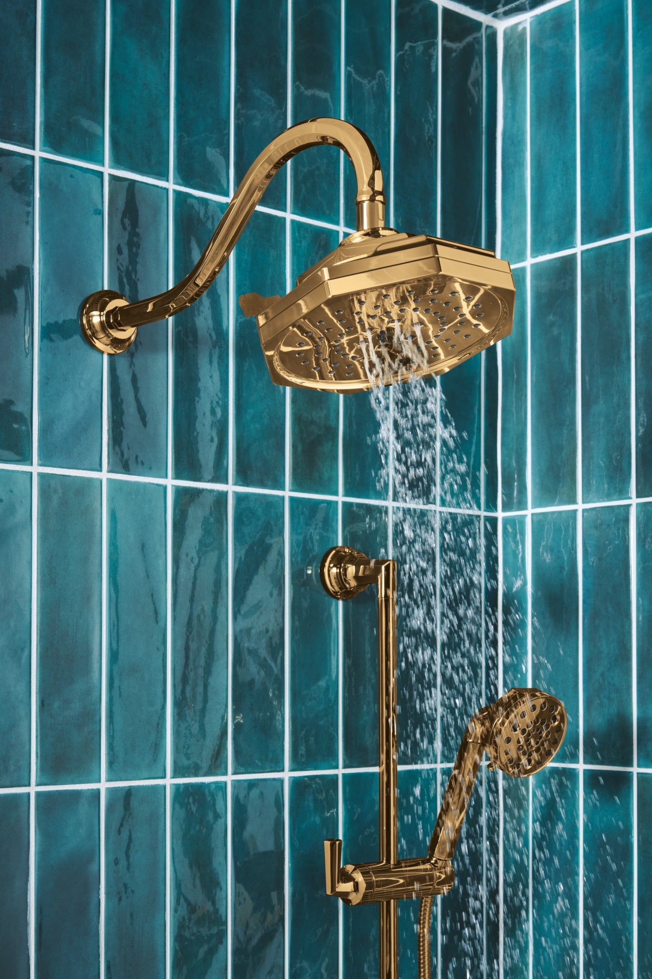 polished gold hand shower