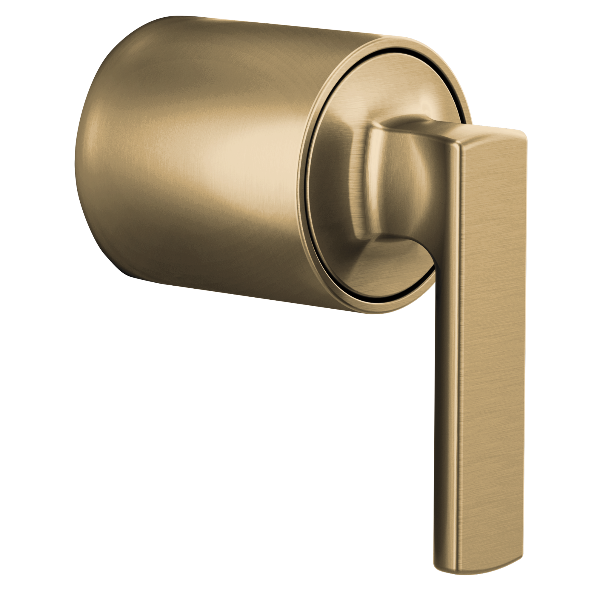 luxe gold handle kit