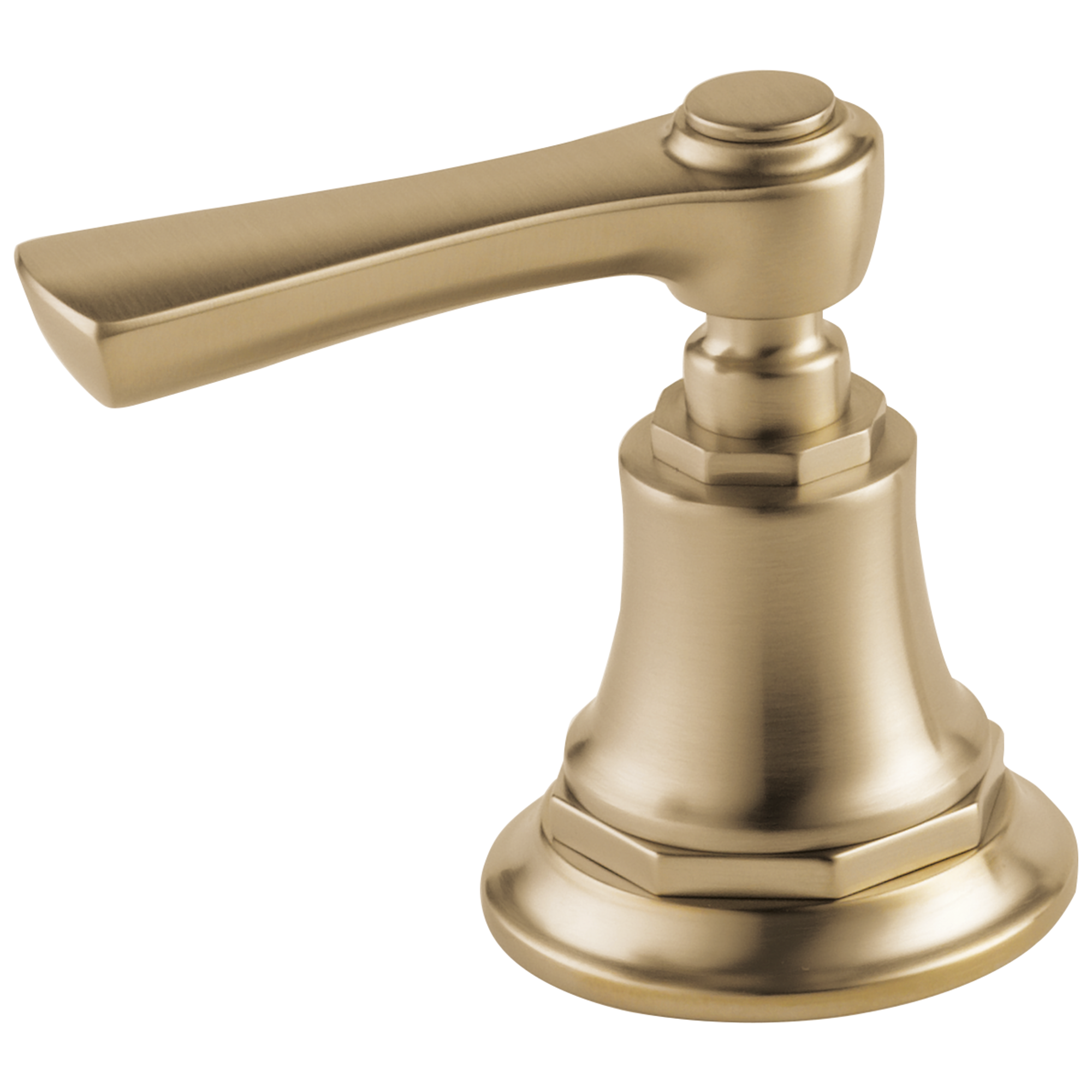 luxe gold handle kit
