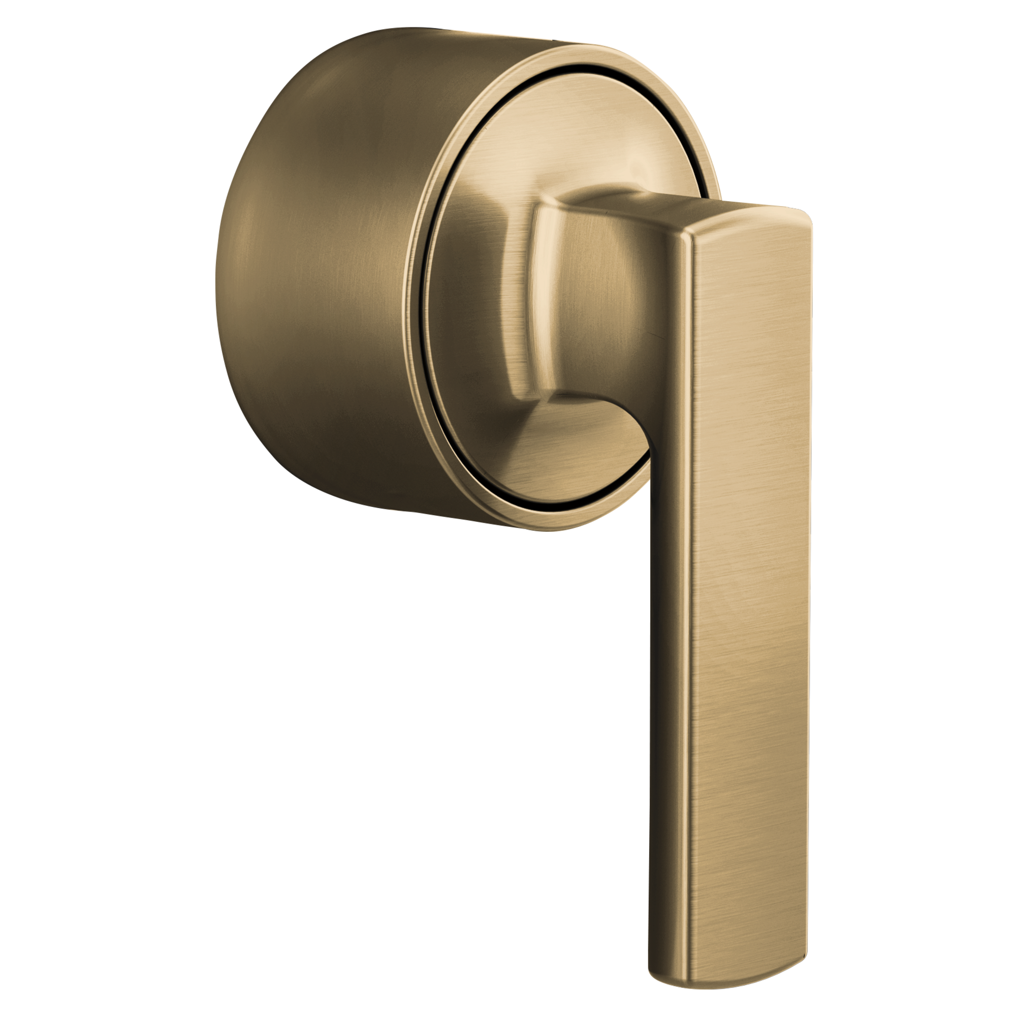 luxe gold handle kit