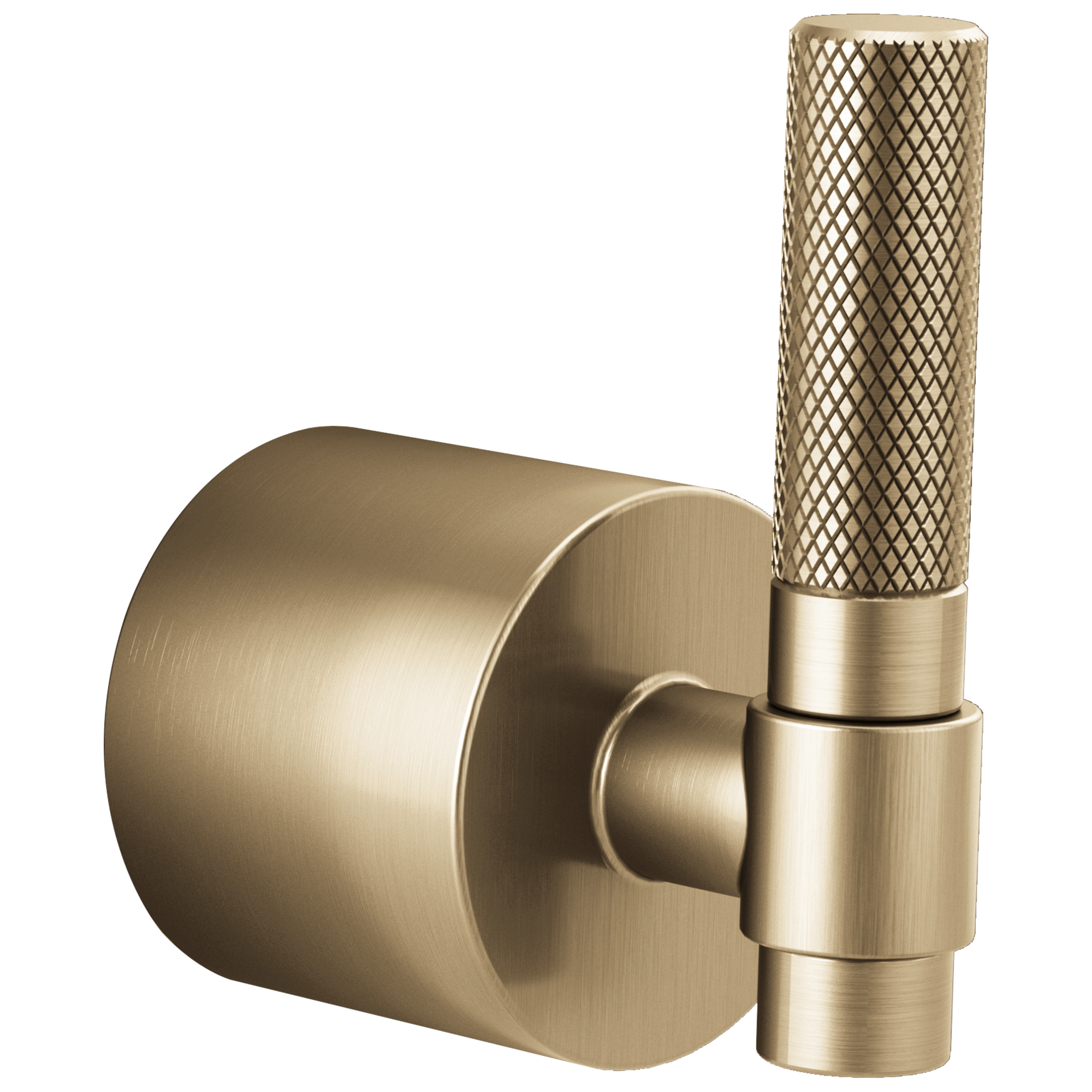 Brizo Litze Single-Handle Floor Mount Tub Filler T-Lever Handle Kit