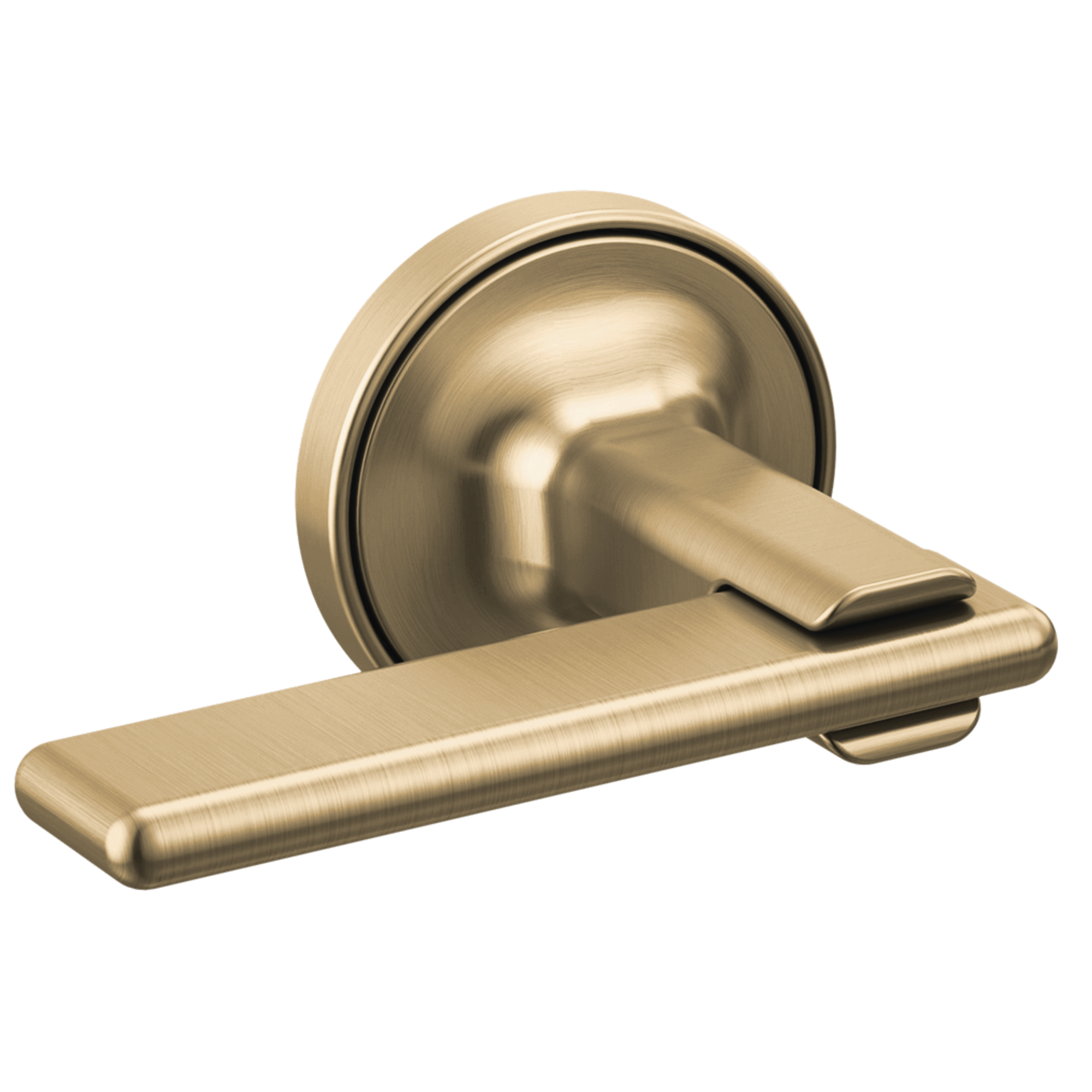 luxe gold handle kit