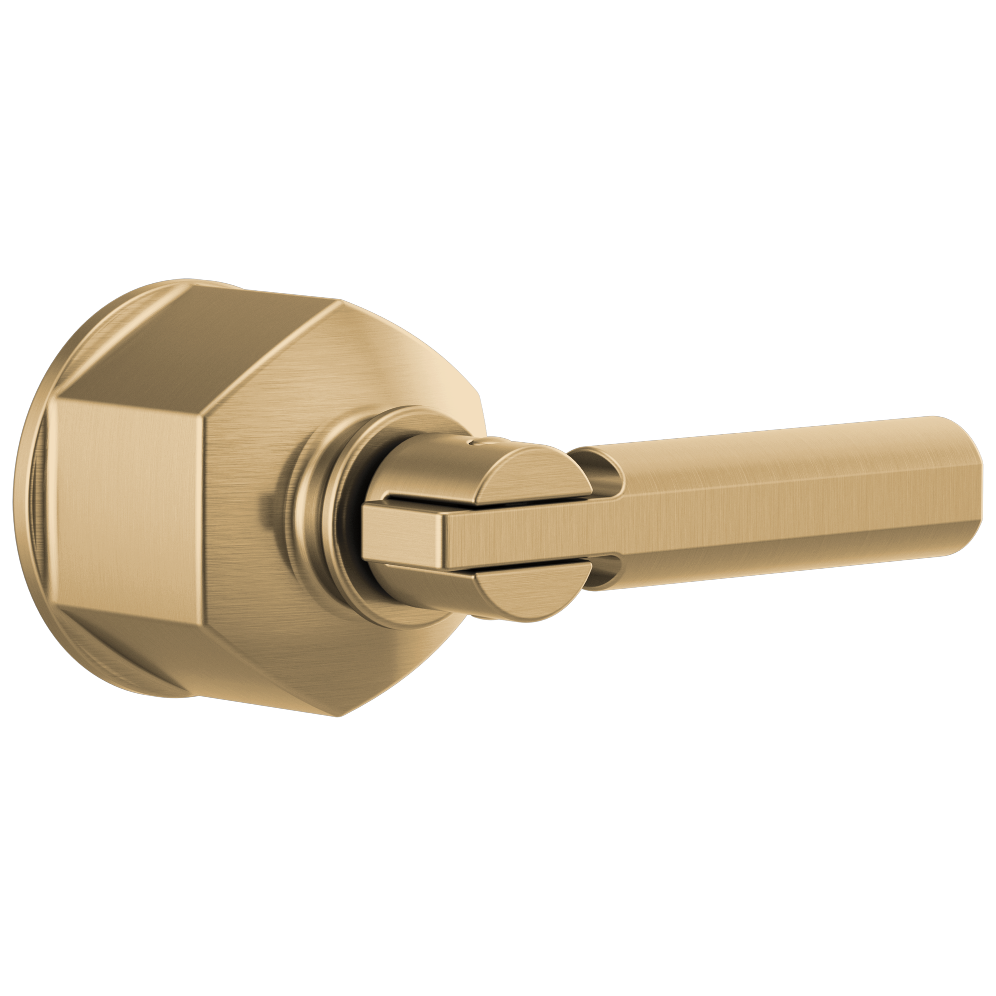 luxe gold handle kit