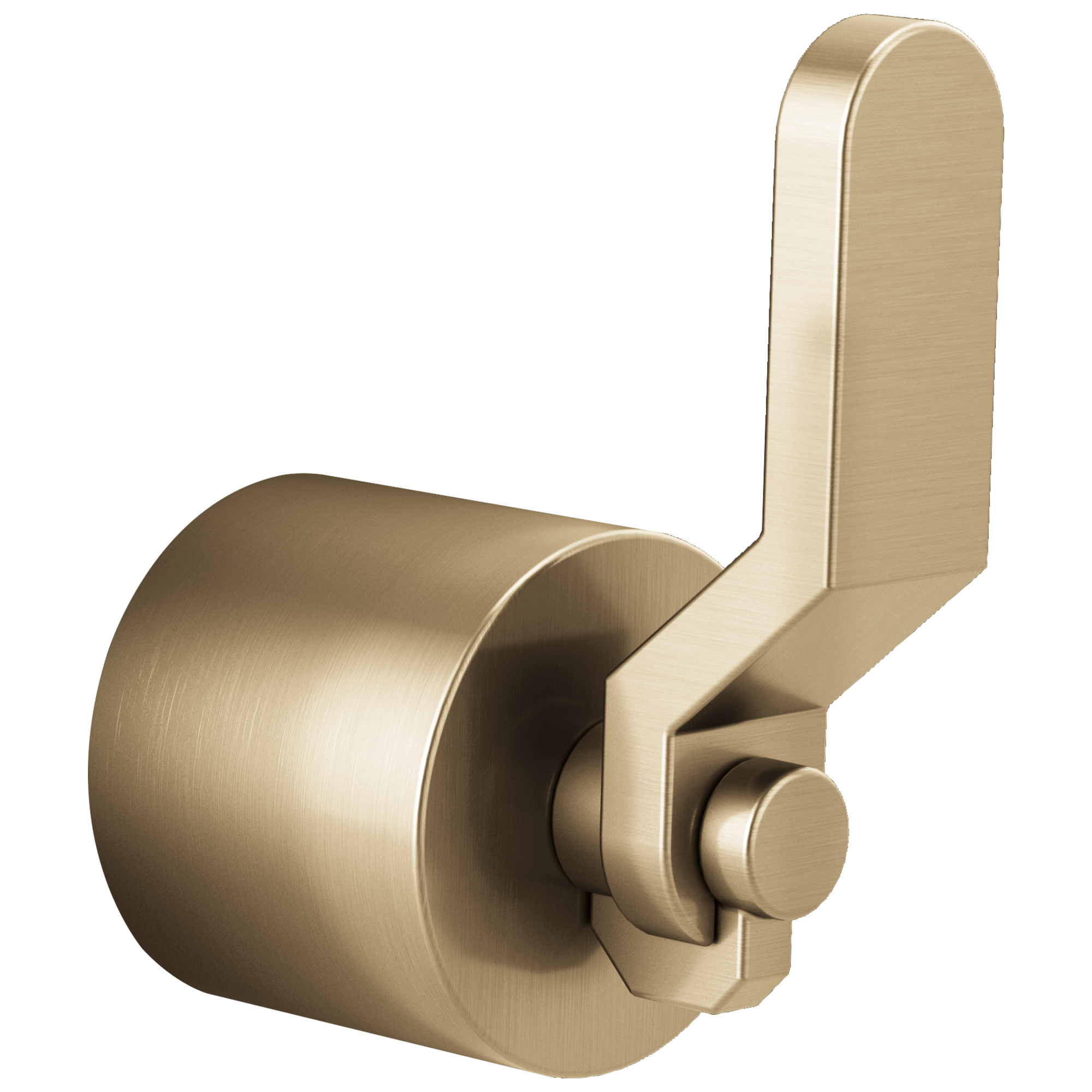 luxe gold handle kit
