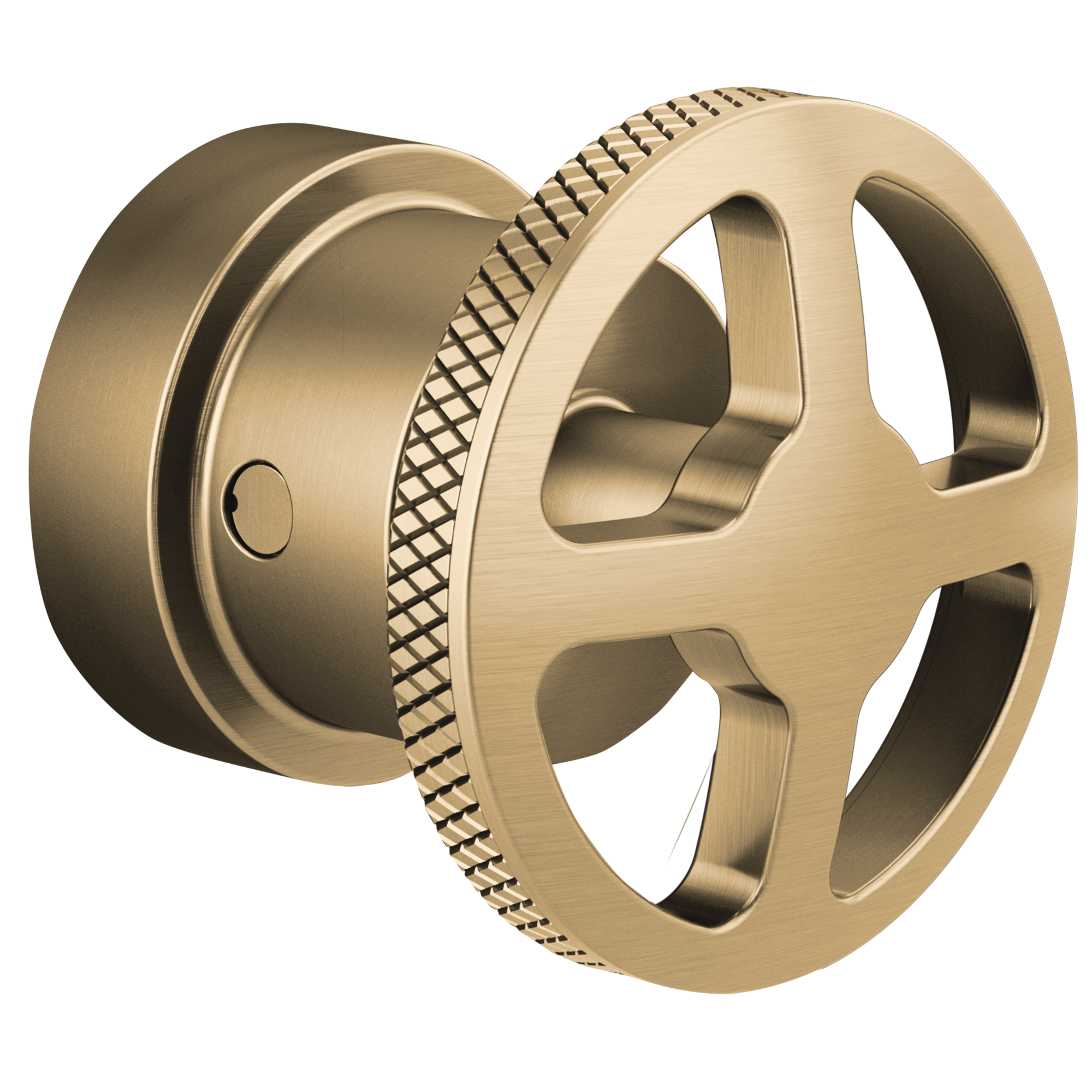 luxe gold handle kit