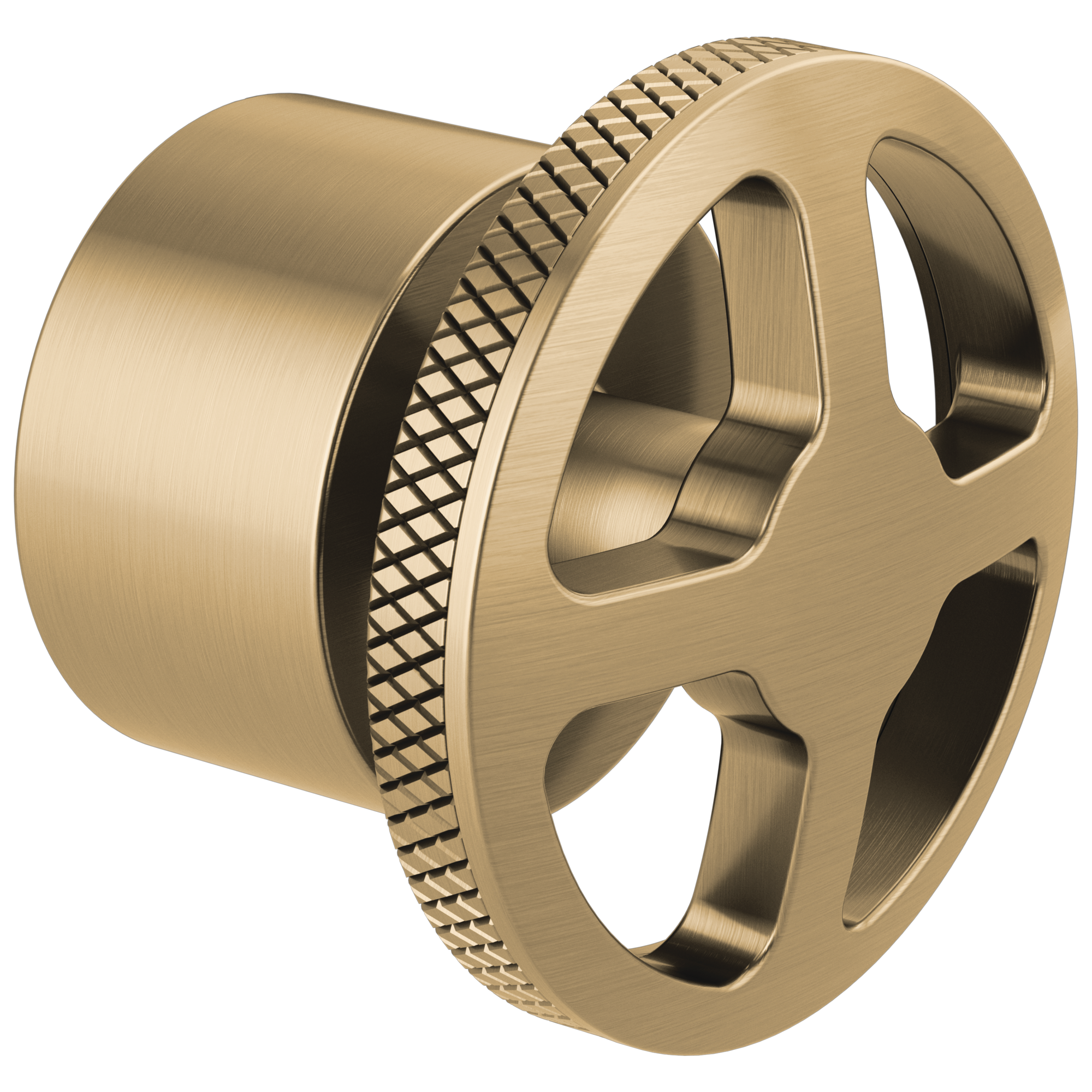 luxe gold handle kit