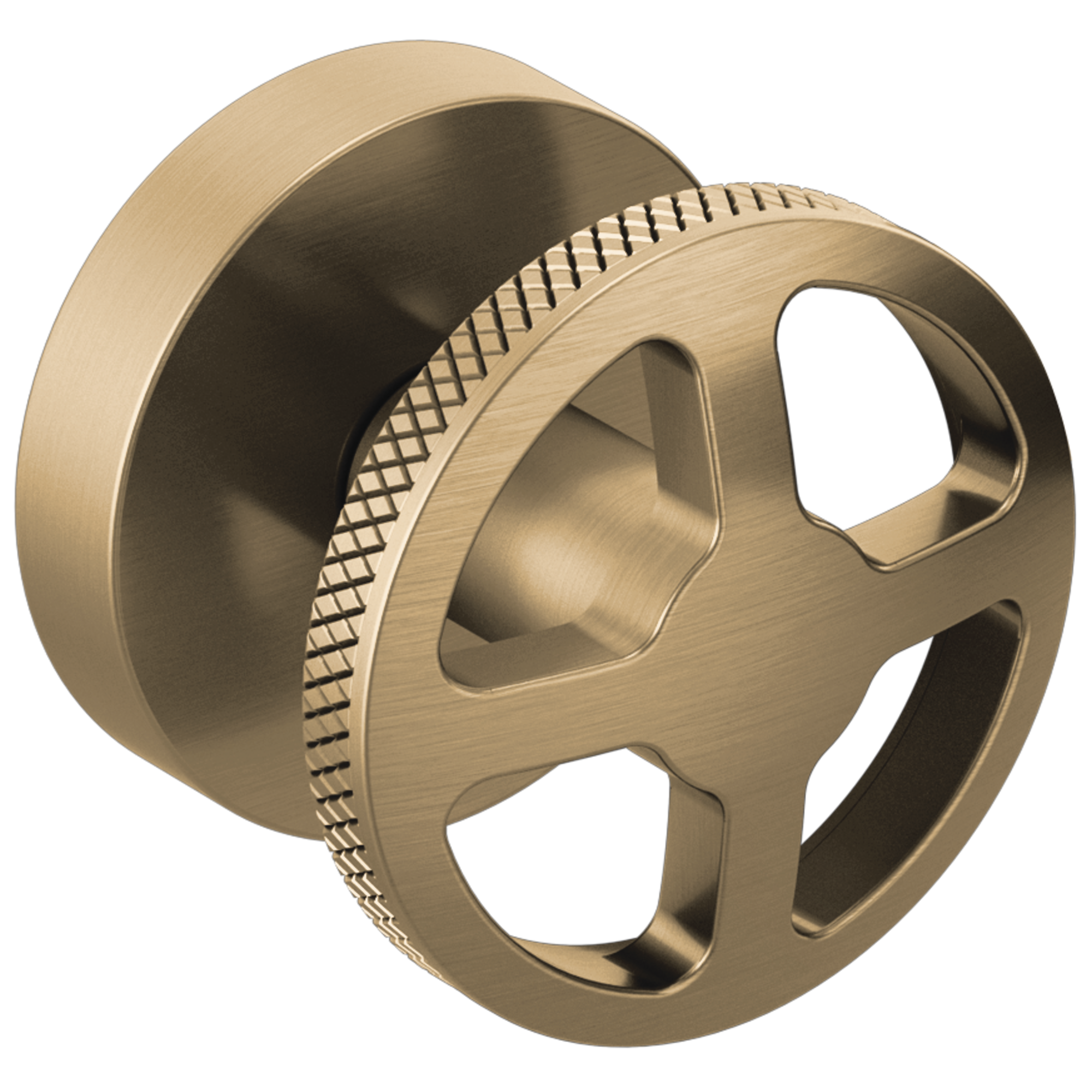 luxe gold handle kit