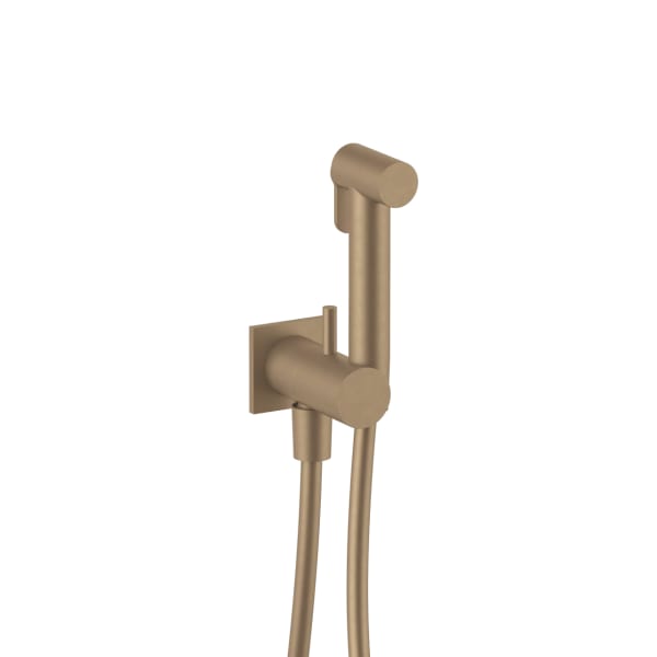 Fantini Double-Function Hydrobrush