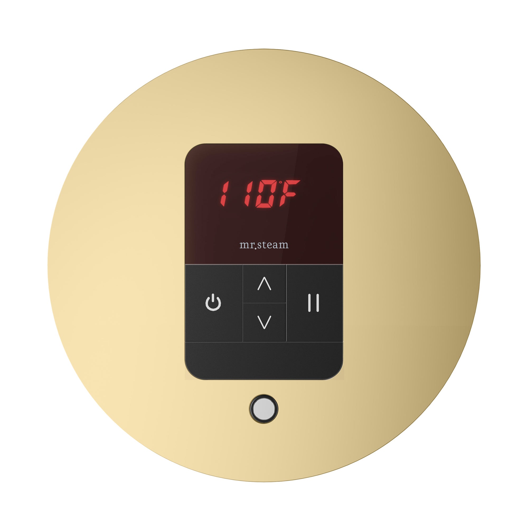 Mr Steam iTempo Round Steam Shower Control and Steamhead