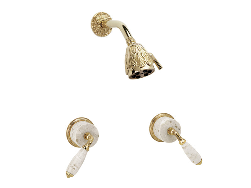 polished brass shower set