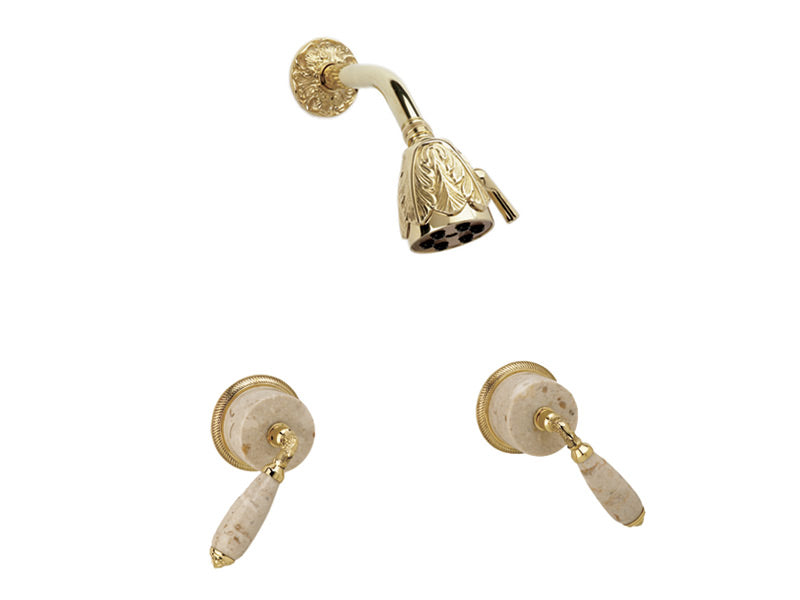 polished brass shower set
