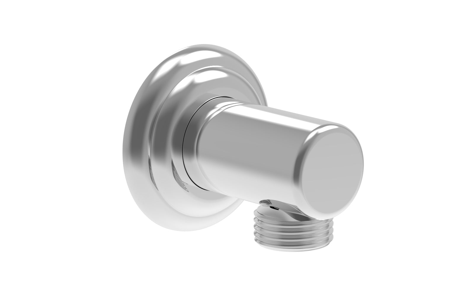 polished chrome hand shower