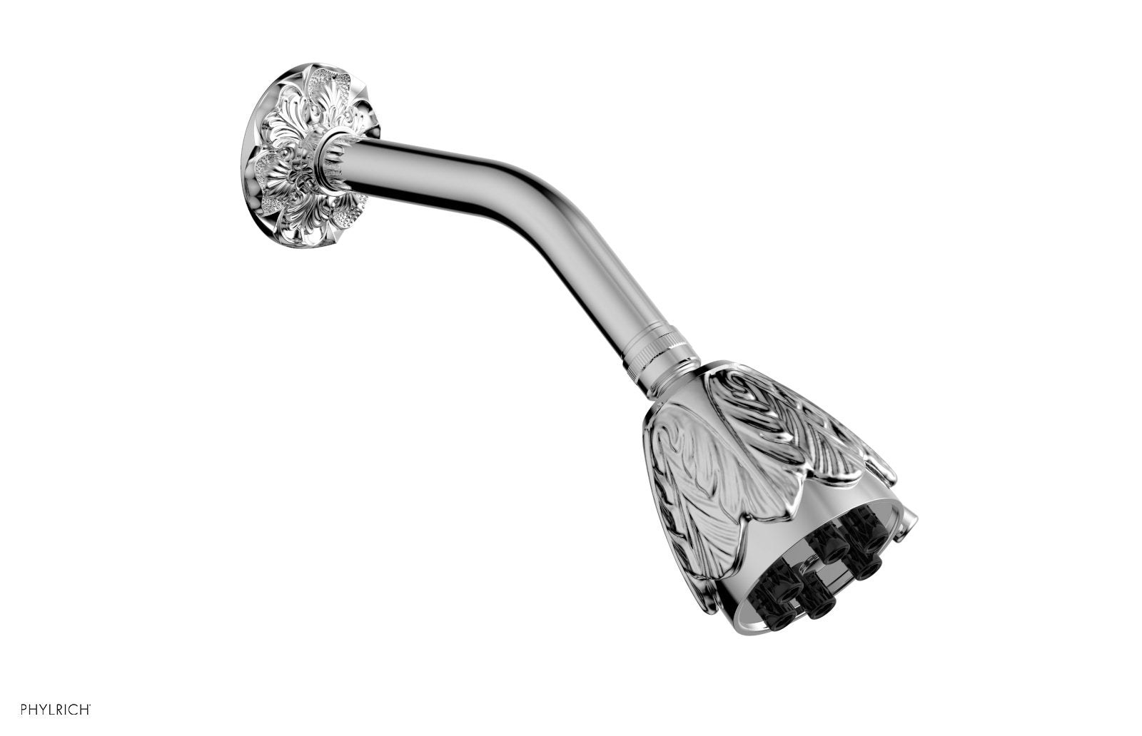 polished chrome shower head