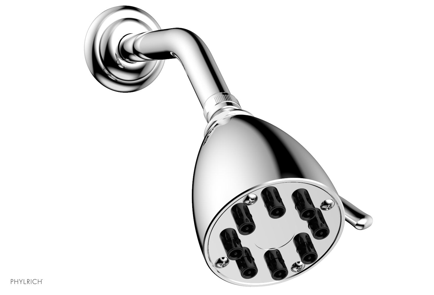 polished chrome shower head