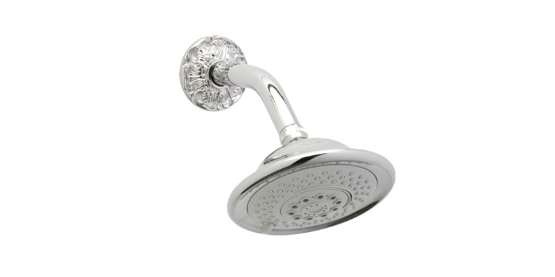 polished chrome shower head