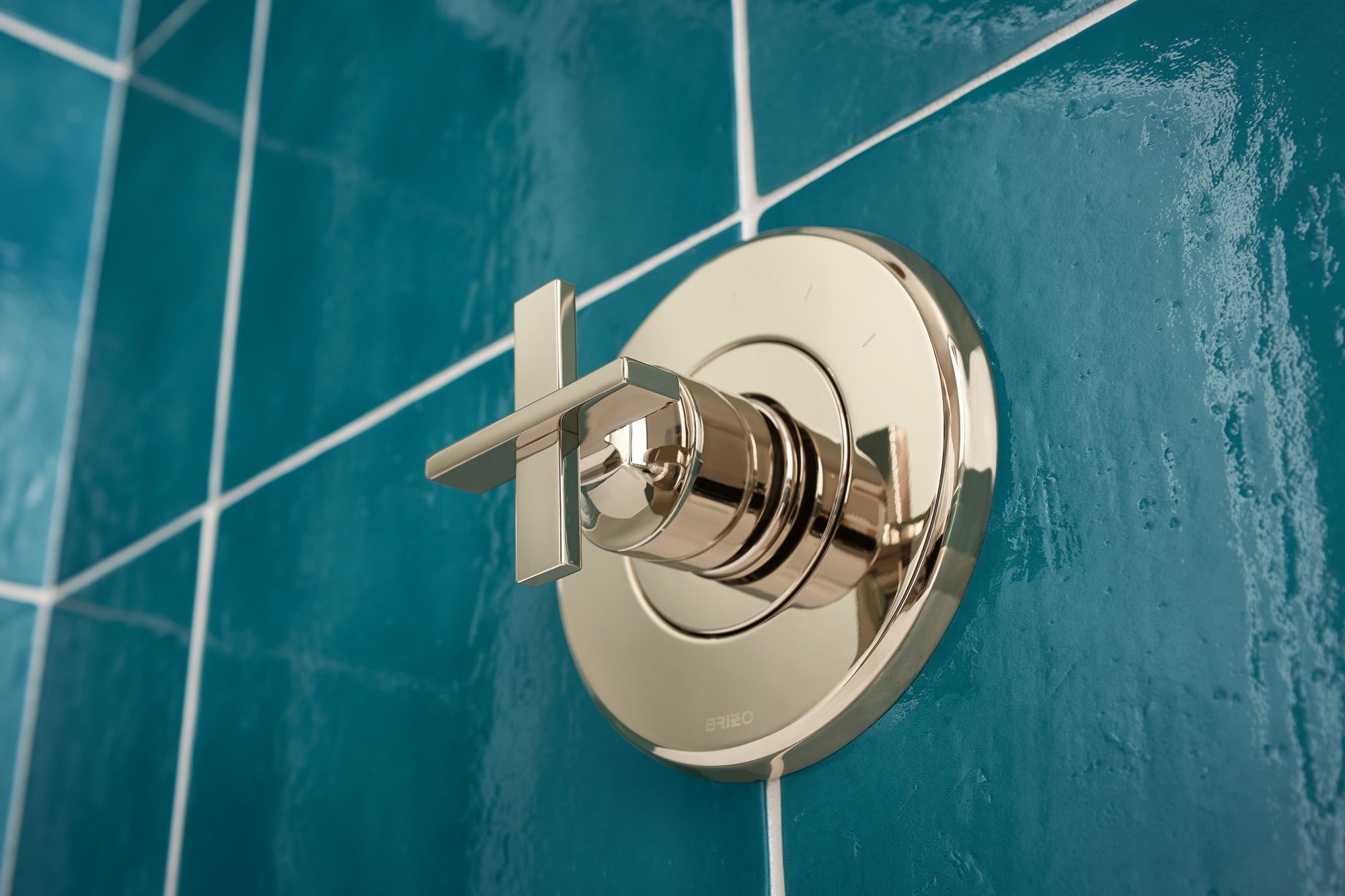 polished nickel thermostatic valve