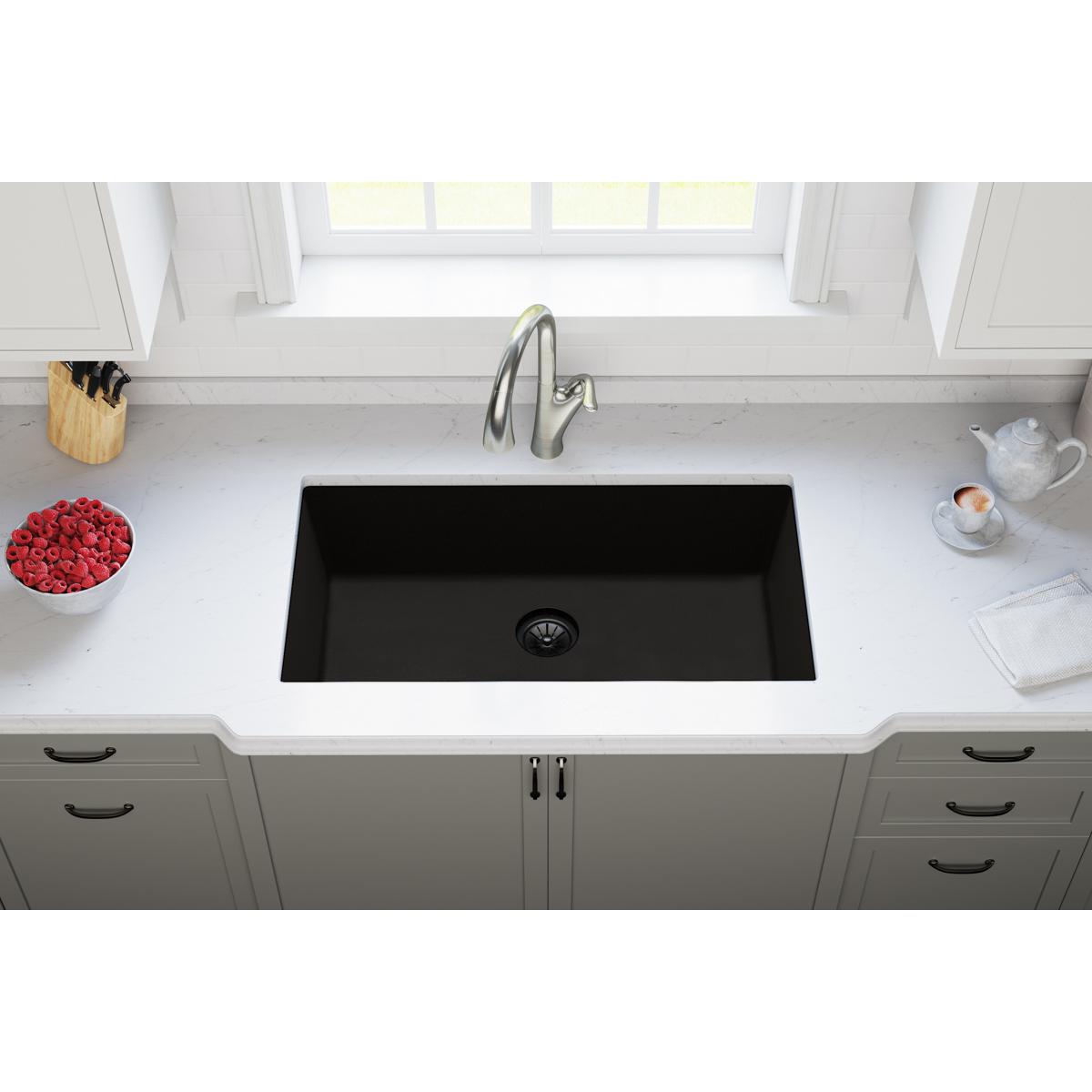 black polymer disposer flange