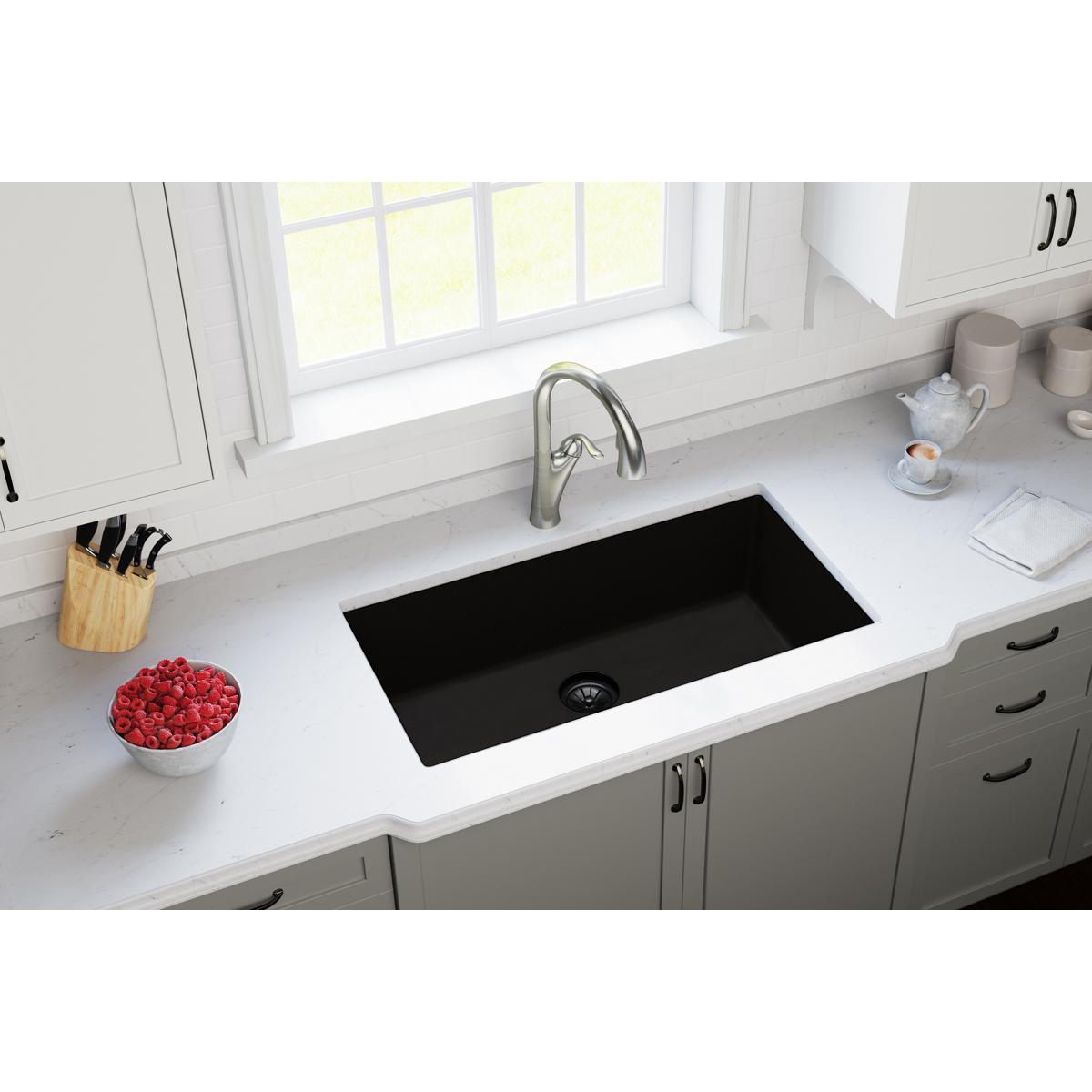 black polymer disposer flange