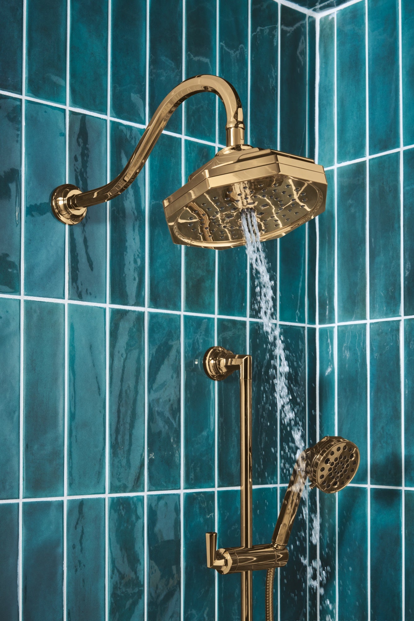 polished gold hand shower