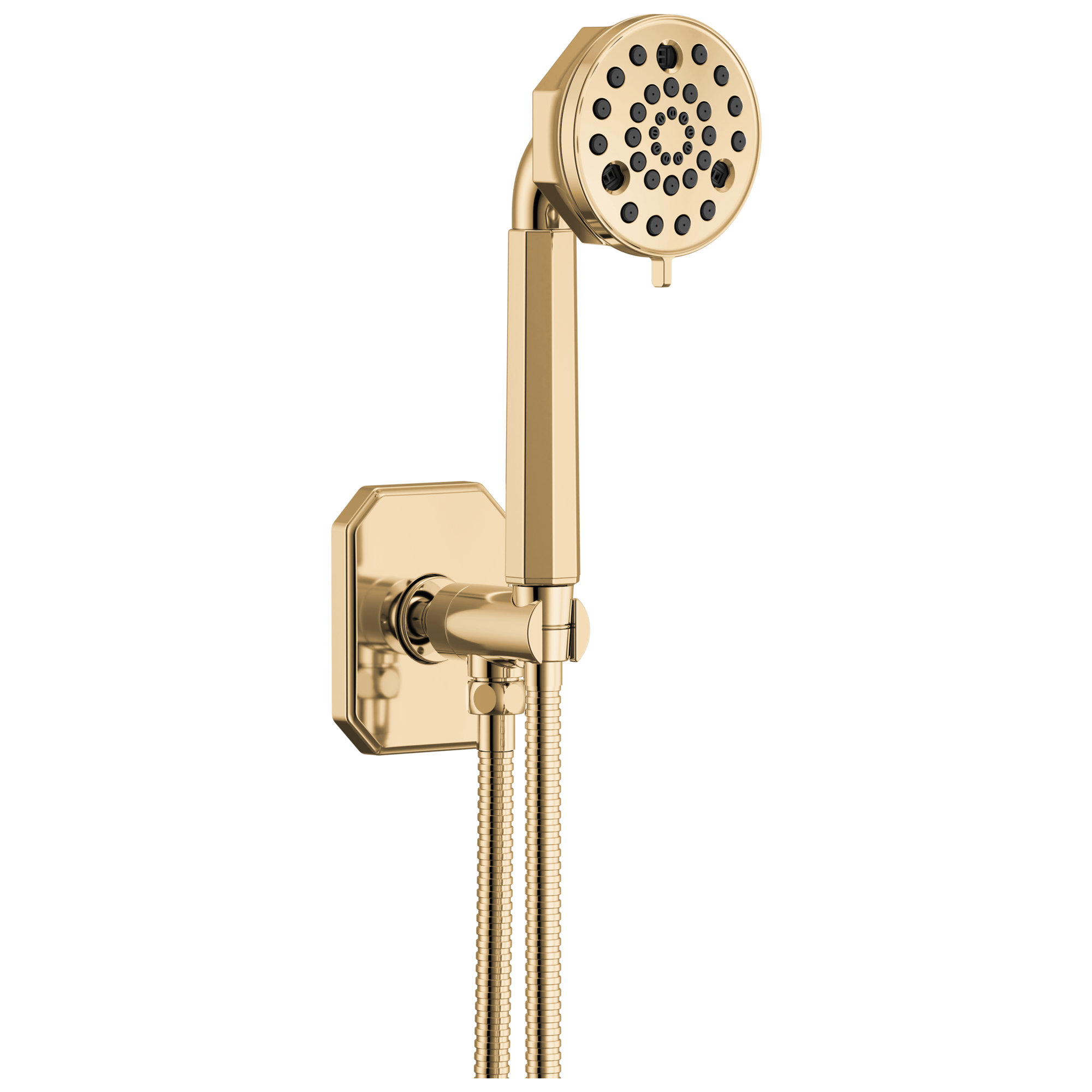 Brizo Beauclere Multi-Function Wall Mount Hand Shower
