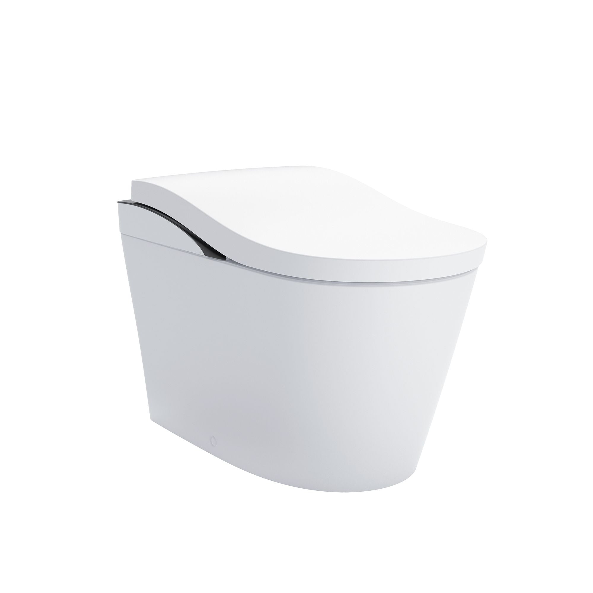 black trim toilet