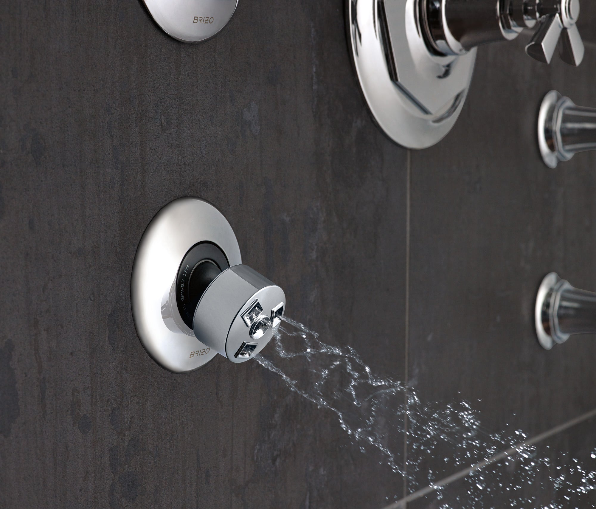 chrome spray head