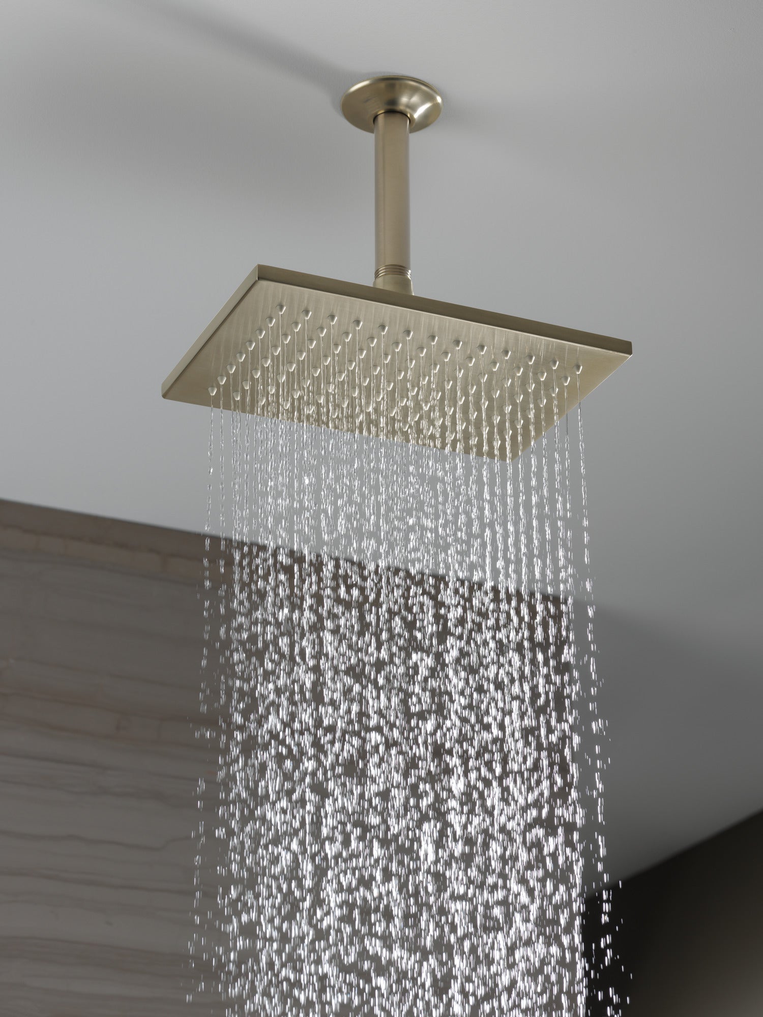 brushed nickel showerhead
