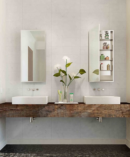 mirrored cabinet