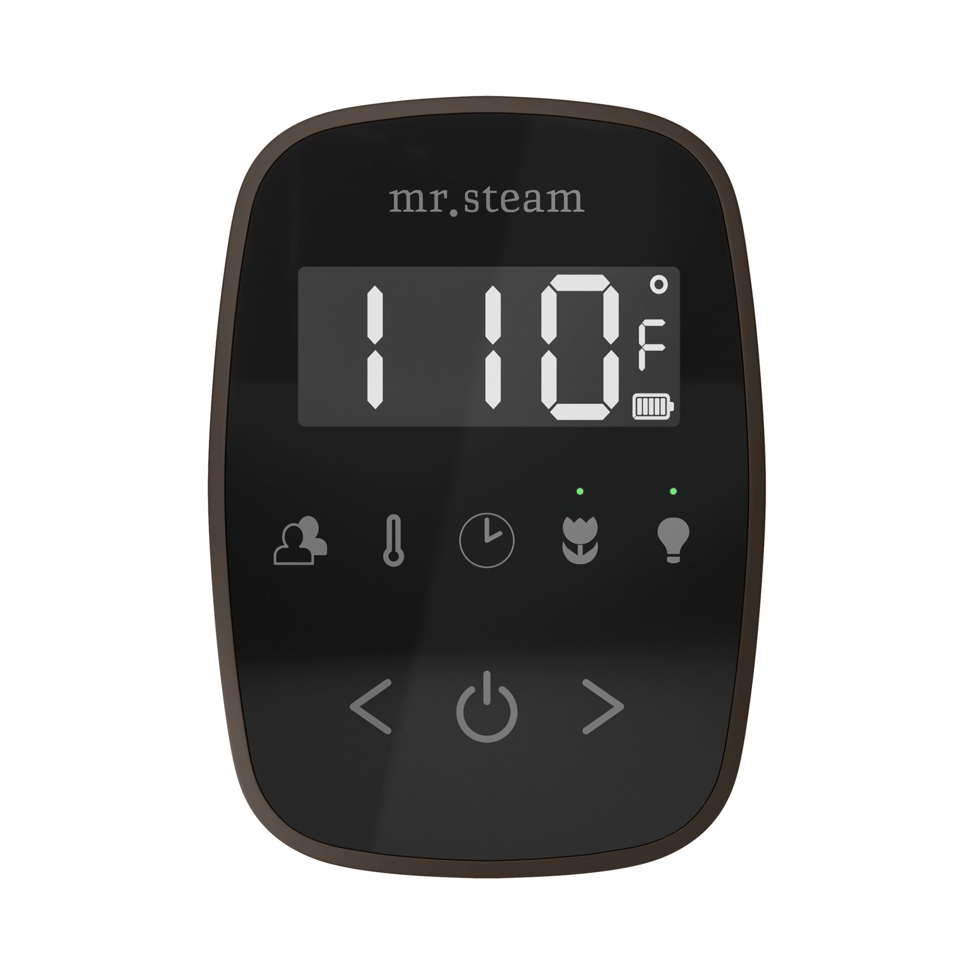 Mr Steam TempoFlex Steam Shower Control and Steamhead