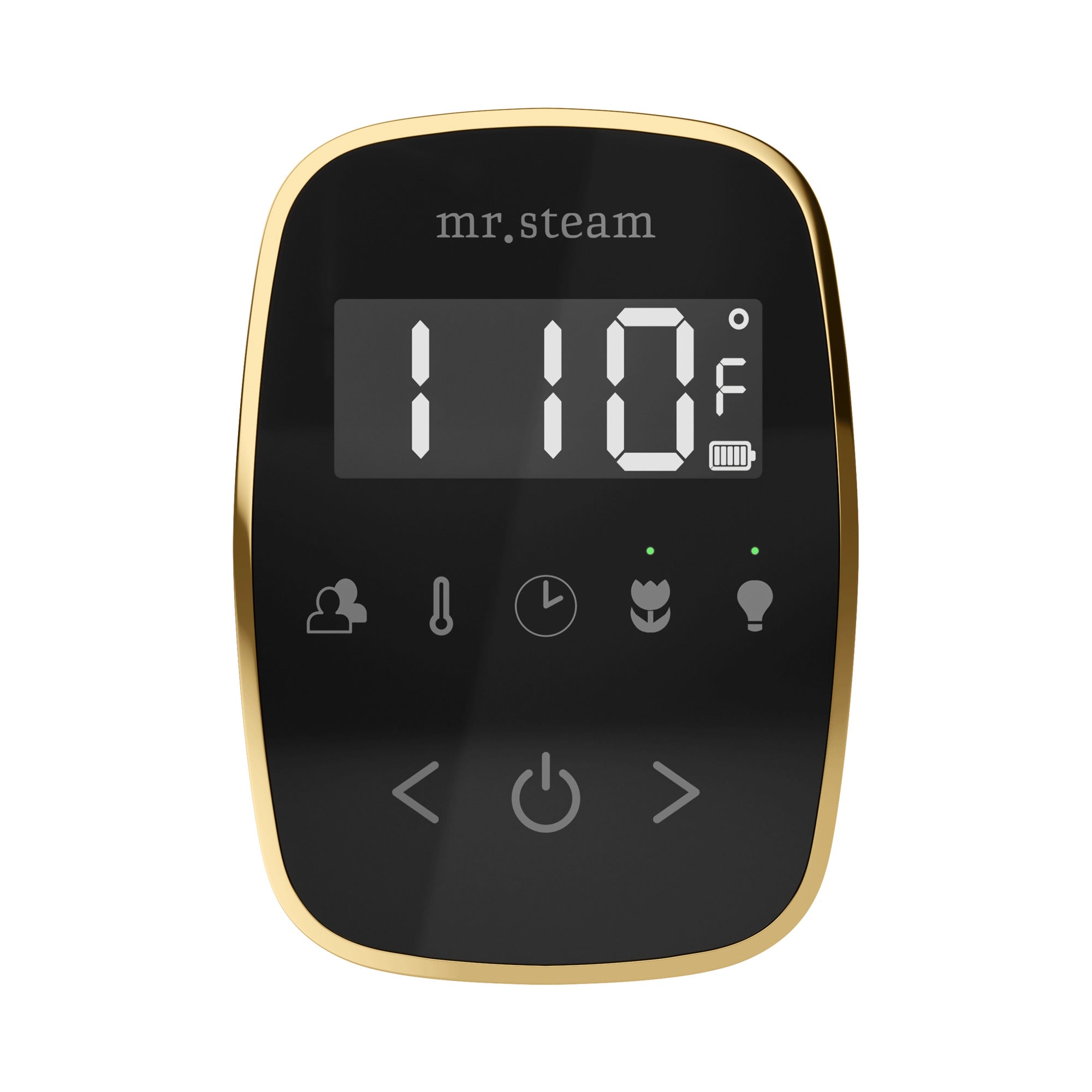 Mr Steam TempoFlex Steam Shower Control and Steamhead