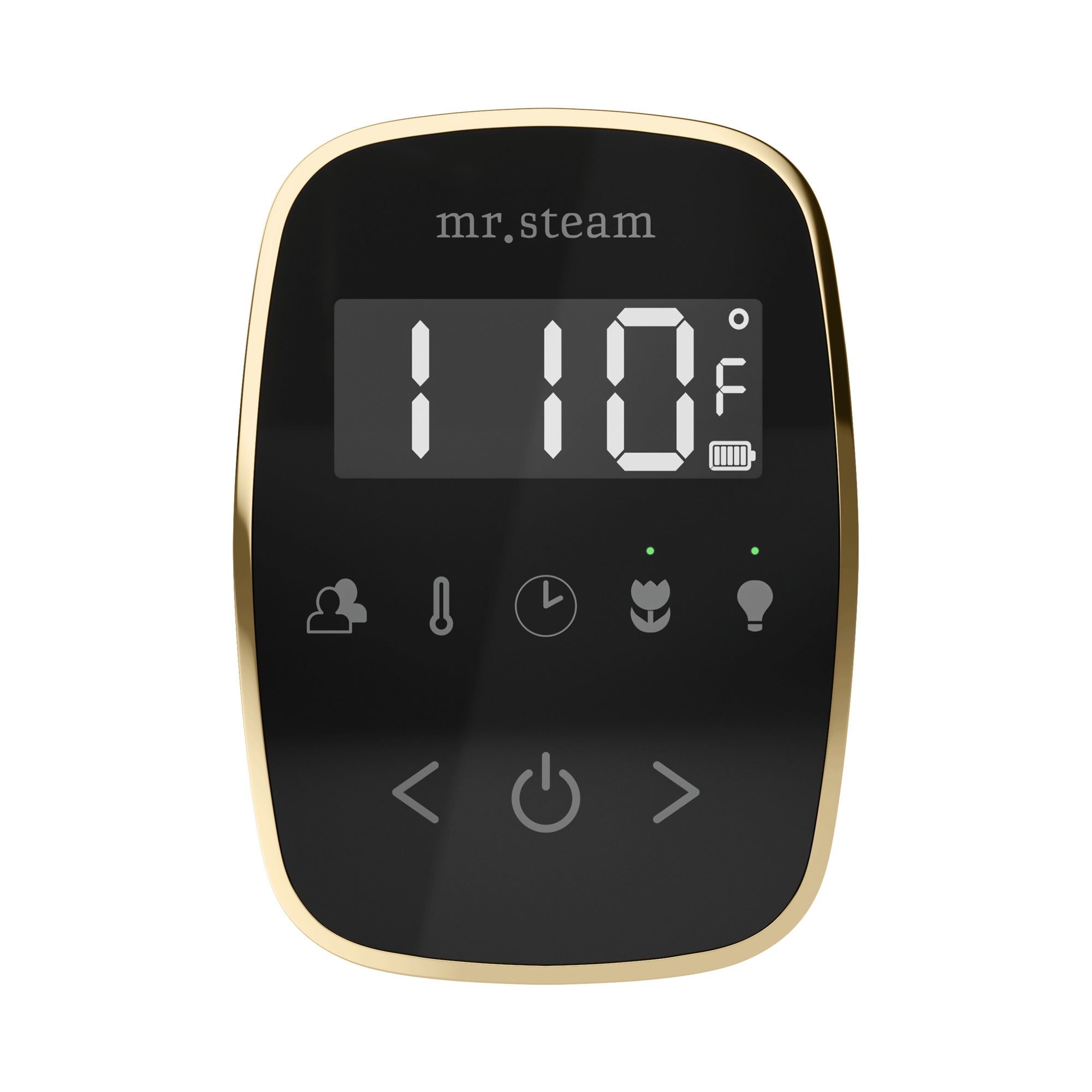 Mr Steam TempoFlex Steam Shower Control and Steamhead