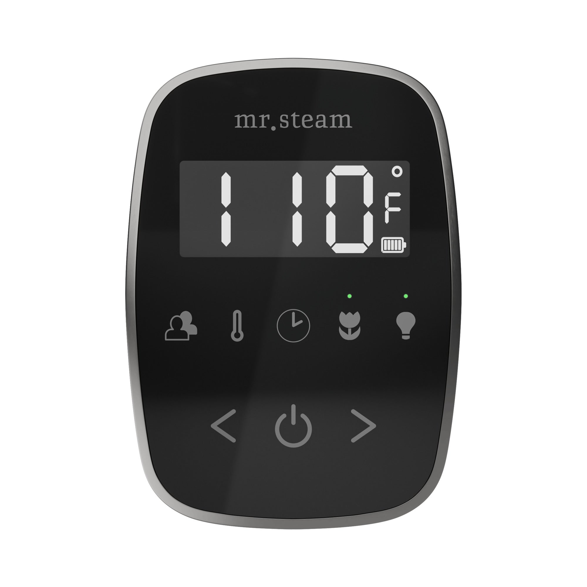 Mr Steam TempoFlex Steam Shower Control and Steamhead