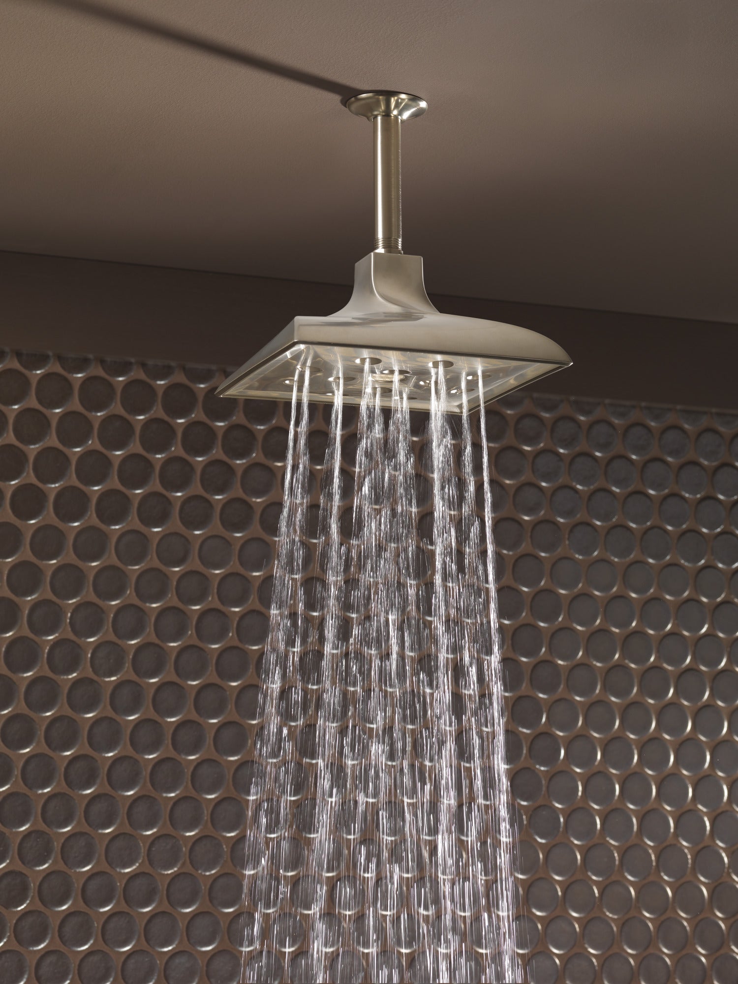 brushed nickel showerhead